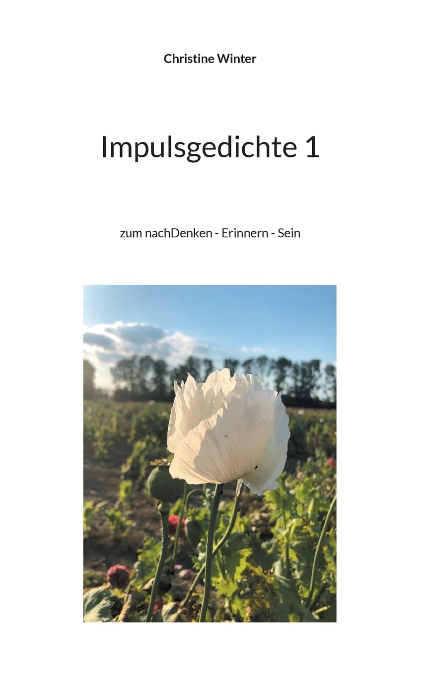 Impulsgedichte 1: zum nachDenken - Erinnern - Sein Poetry