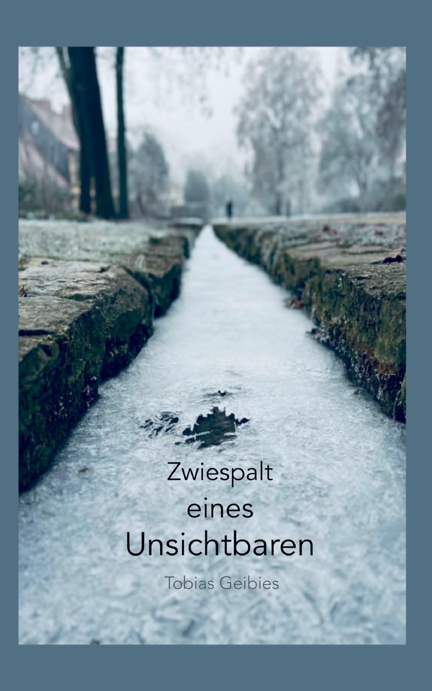 Zwiespalt eines Unsichtbaren Poetry