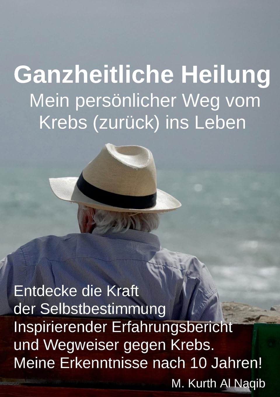 Ganzheitliche Heilung. Mein persönlicher Weg vom Krebs (zurück) ins Leben. book