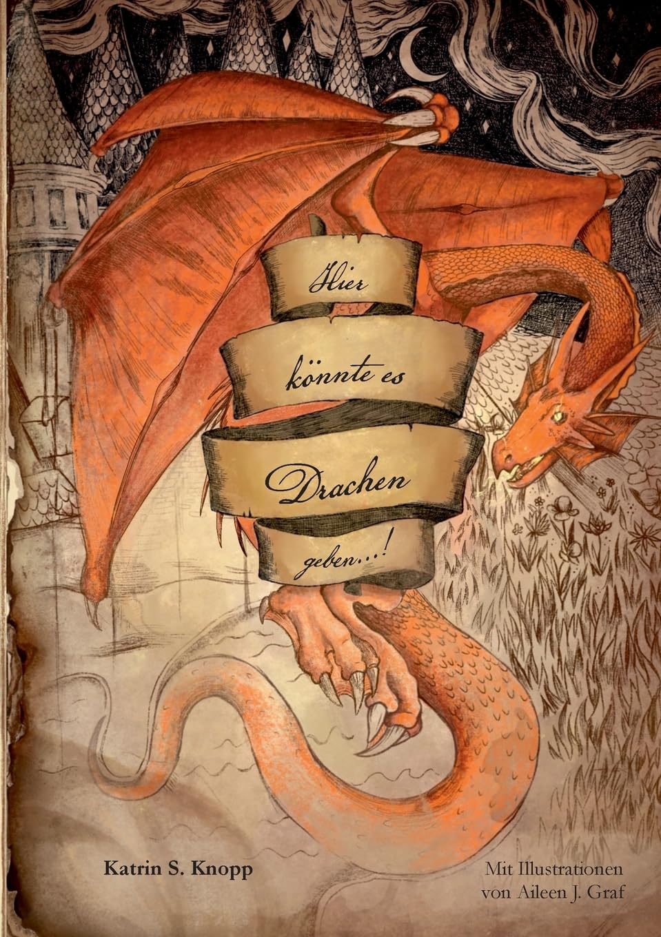 Hier könnte es Drachen geben...! book