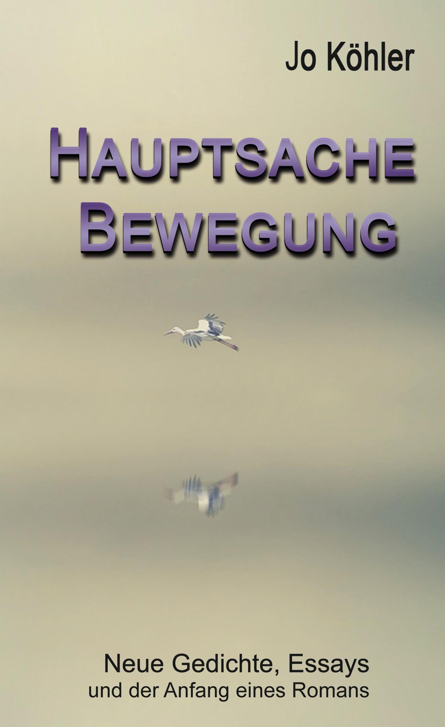 Hauptsache Bewegung: Gedichte, Essays und der Anfang eines Romans Poetry