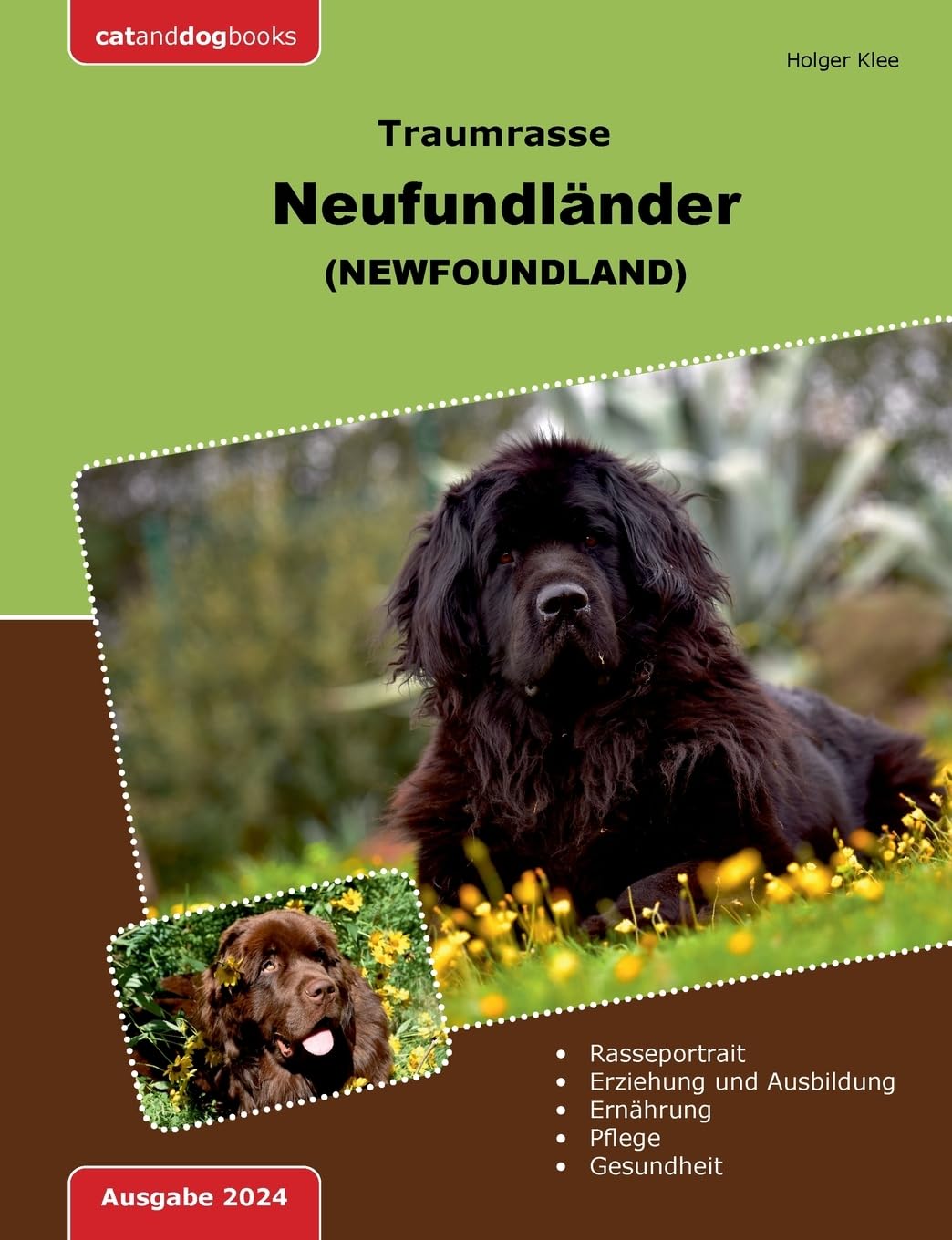 Traumrasse Neufundländer: Newfoundland Pets