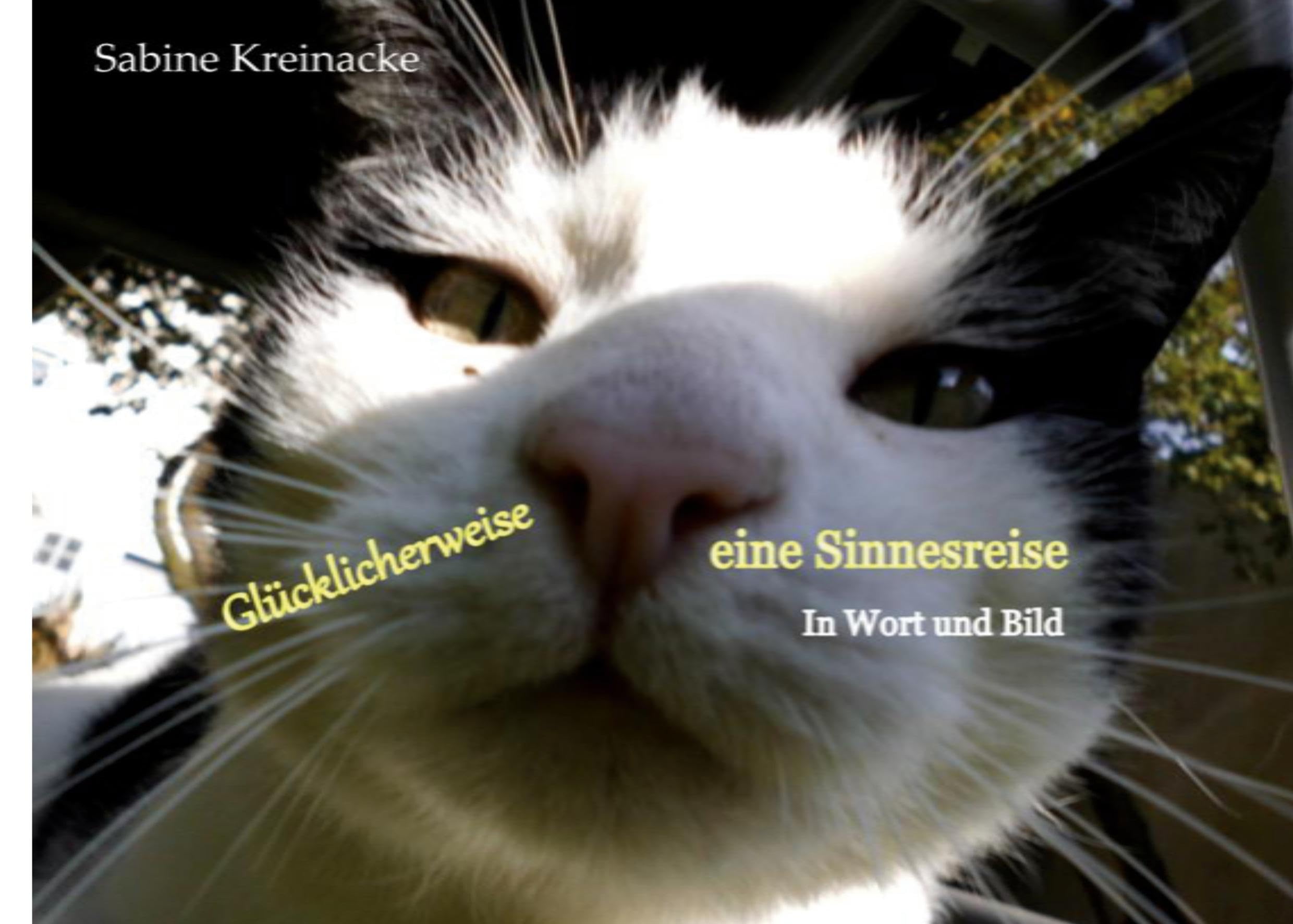 Glücklicherweise eine Sinnesreise: In Wort und Bild Poetry