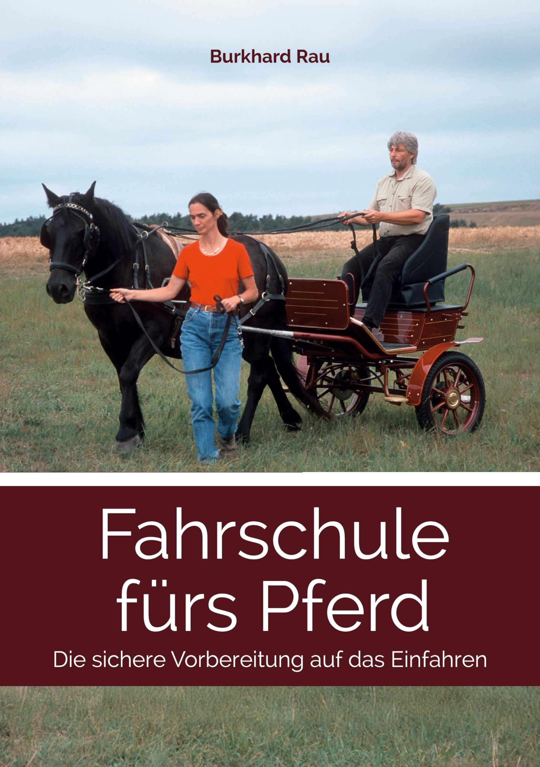 Fahrschule fürs Pferd Pets