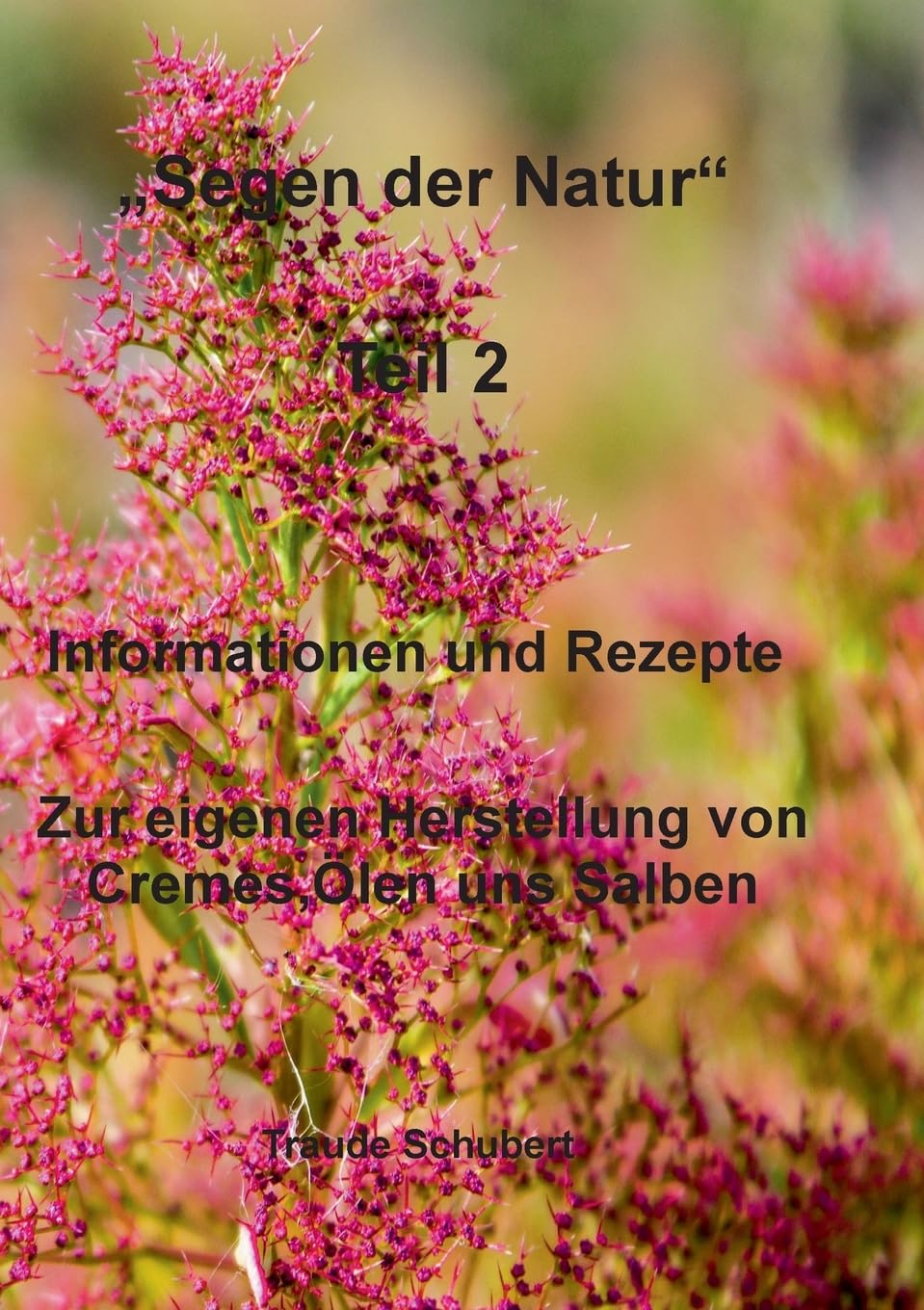 Segen der Natur - Teil 2: Informationen und Rezepte Zur eigenen Herstellung von Cremes, Ölen uns Salben Medicine