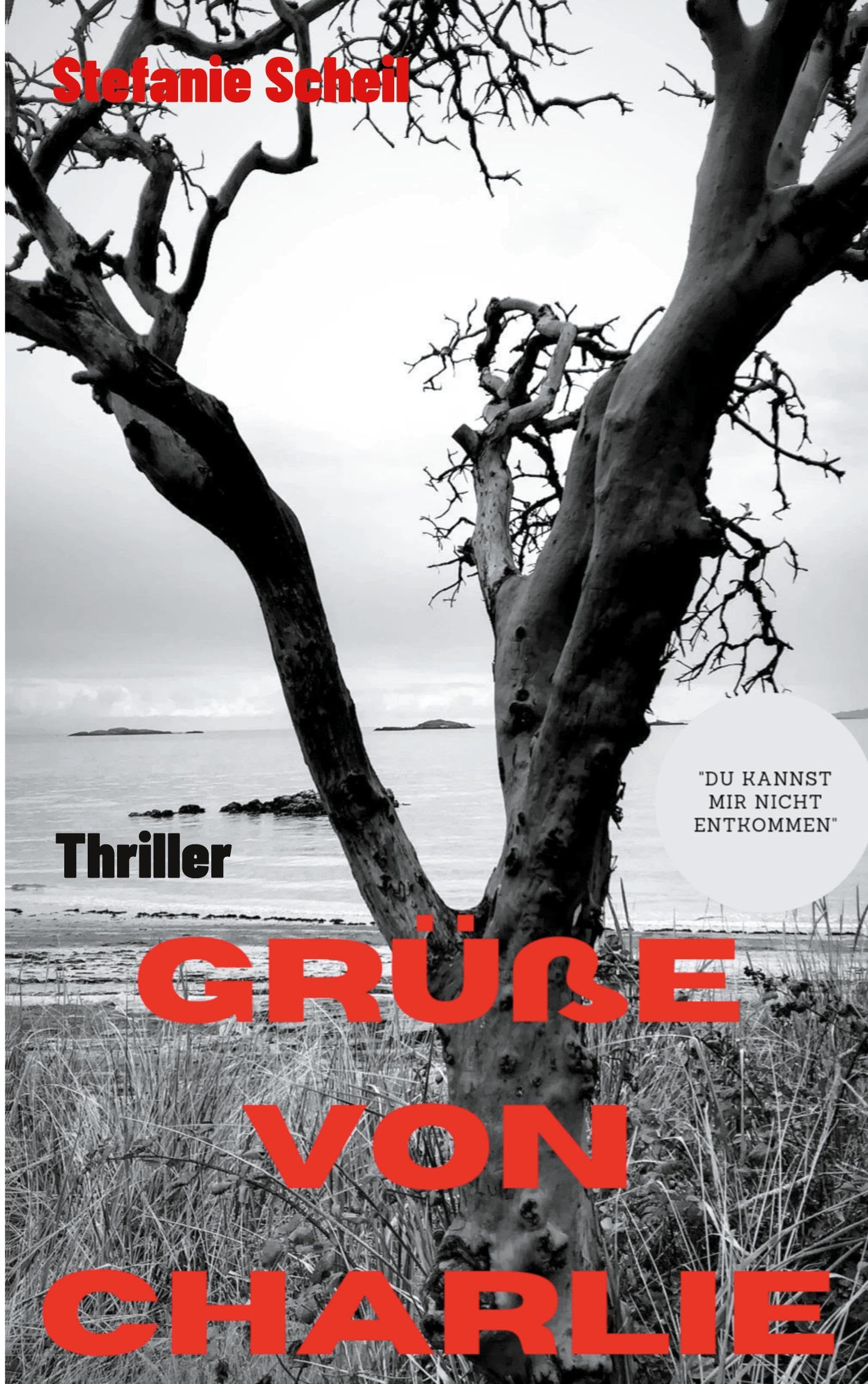 Grüße von Charlie: Du kannst mir nicht entkommen Contemporary literature