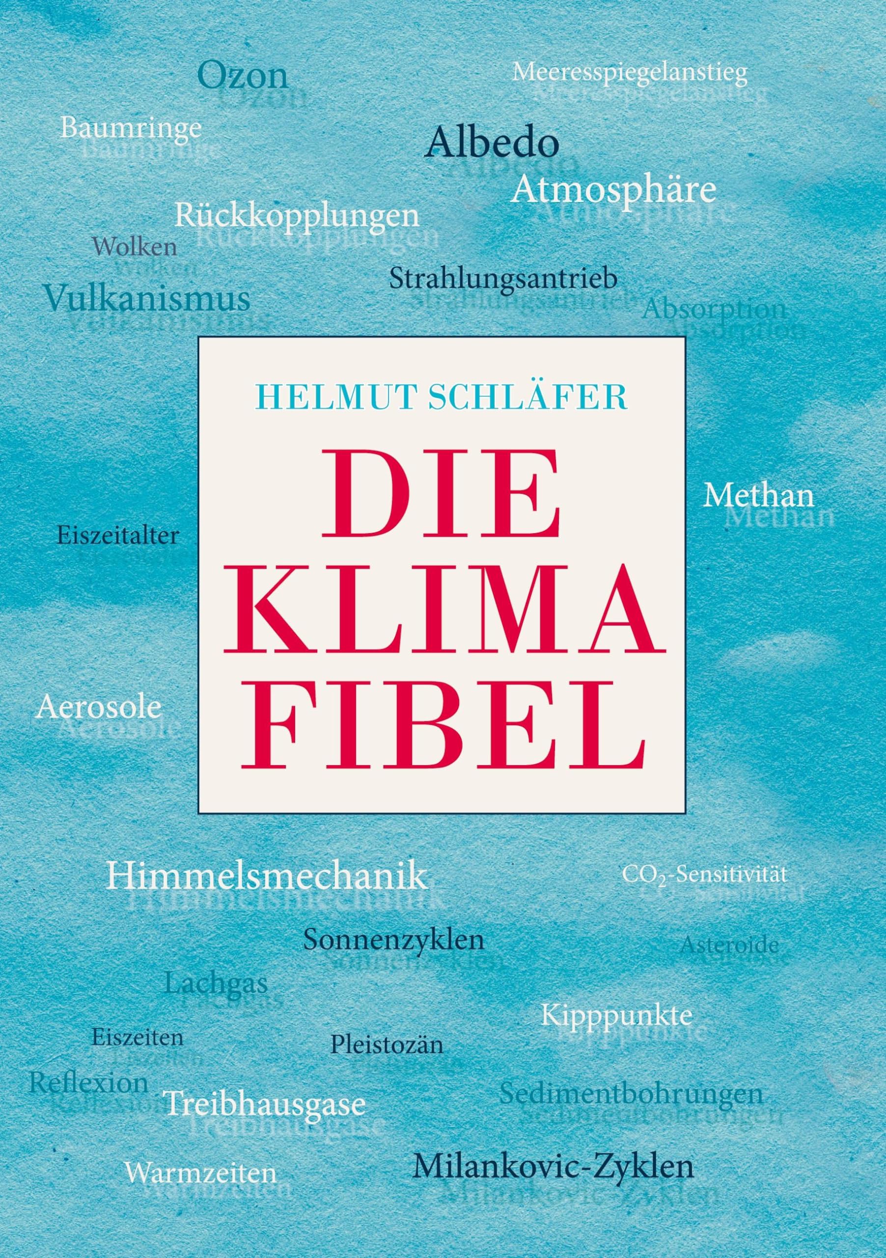 Product Image: Die Klimafibel