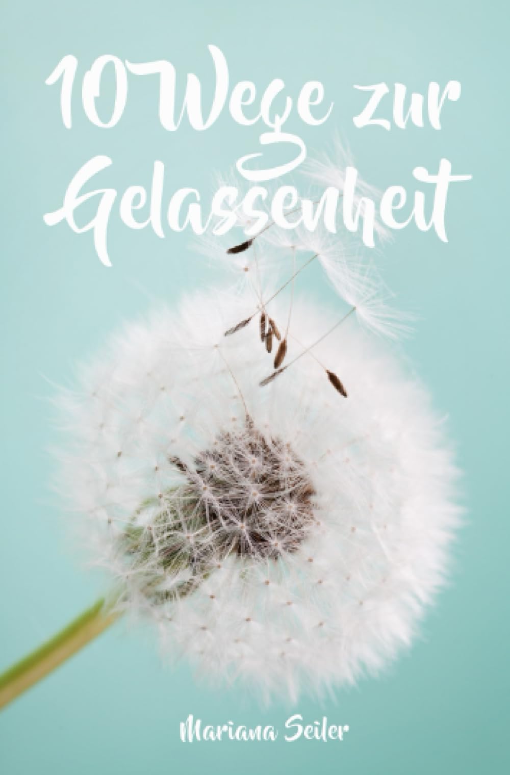 Gelassenheit lernen: WIE SIE GELASSENHEIT LERNEN, ÄRGER UND SORGEN LOSLASSEN UND ENTSPANNT UND GLÜCKLICH LEBEN! Die 10 Wege zu Gelassenheit und ... Gelassenheit erreichen, innere Balance) Health, Nutrition & Fitness