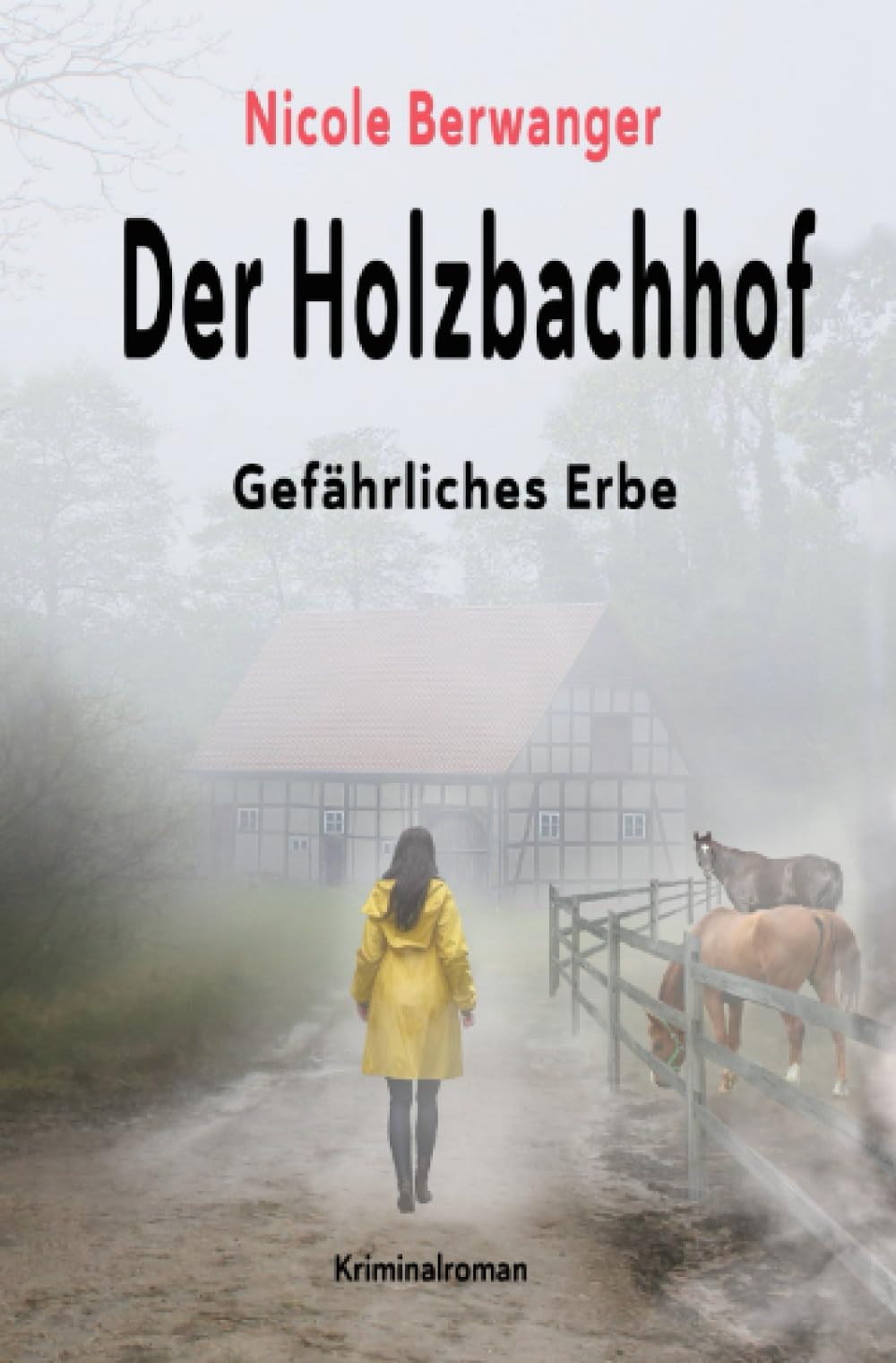 Der Holzbachhof: Gefährliches Erbe Contemporary literature
