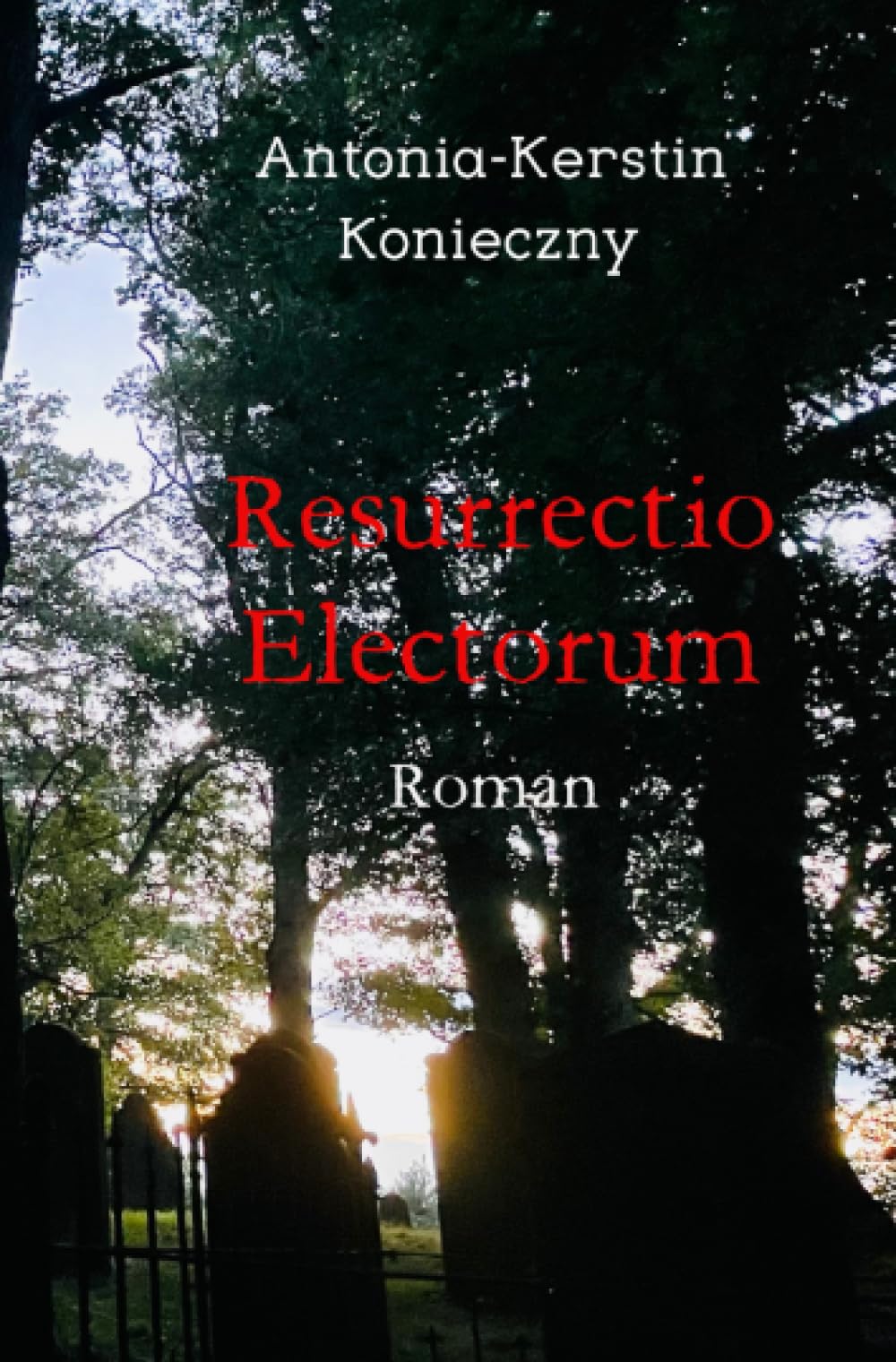 Resurrectio Electorum: DE Contemporary literature