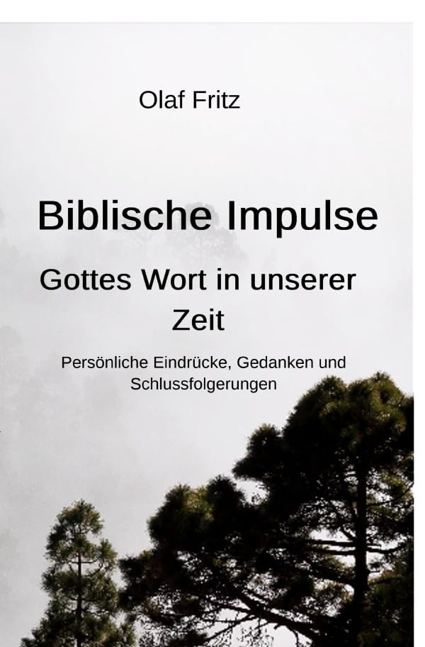 Biblische Impulse - Gottes Wort in unserer Zeit: Persönliche Eindrücke, Gedanken und Schlussfolgerungen Religion & Esotericism