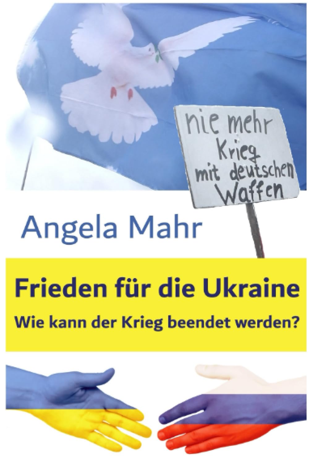 Frieden für die Ukraine: Wie kann der Krieg beendet werden? book