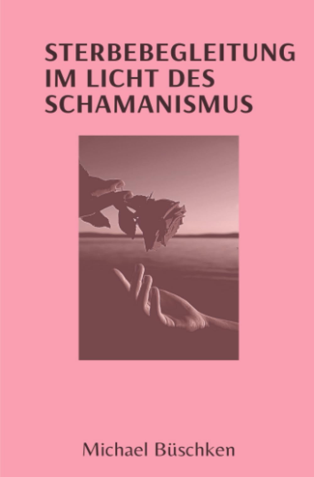 Sterbebegleitung: Im Licht des Schamanismus (Schamanisches Kompendium) Religion & Esotericism