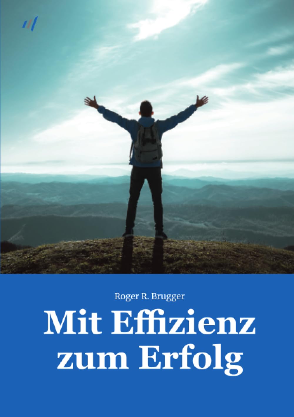 Mit Effizienz zum Erfolg: DE Business, Finance & Career