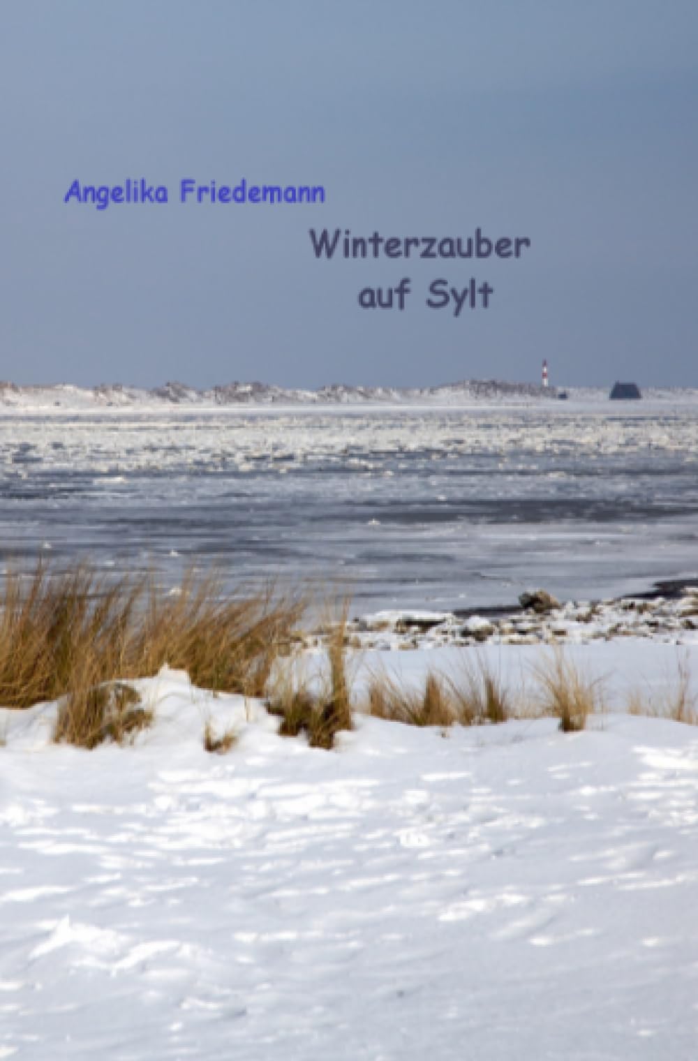 Winterzauber auf Sylt: DE Contemporary literature