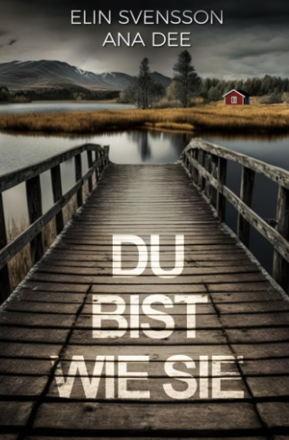 Du bist wie sie: Schweden-Krimi Action & Adventure