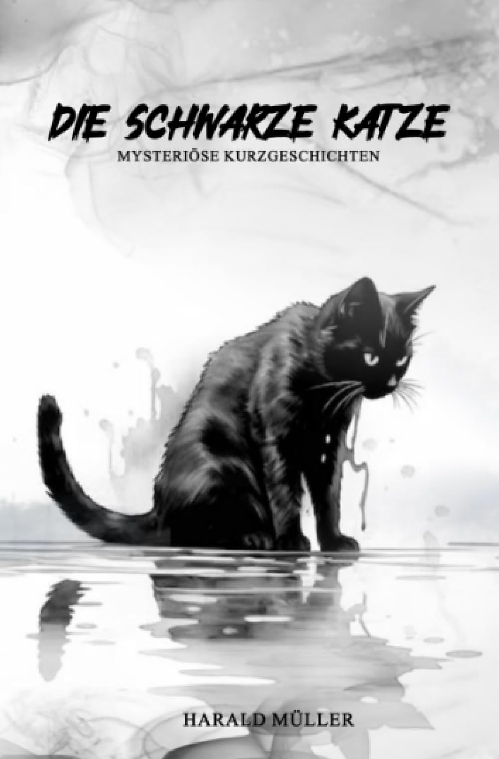 Die schwarze Katze - Mysteriöse Kurzgeschichten: DE Contemporary literature
