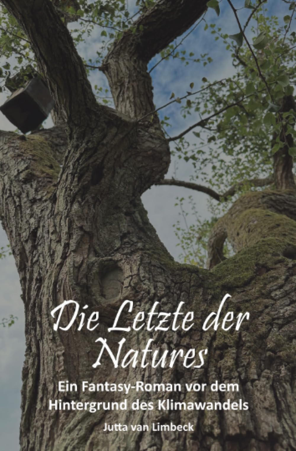 Die Letzte der Natures (Naturmagische Geschehen) Action & Adventure