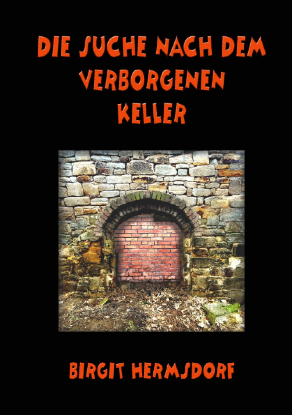 Die Suche nach dem verborgenen Keller: Regionalkriminalgeschichte book