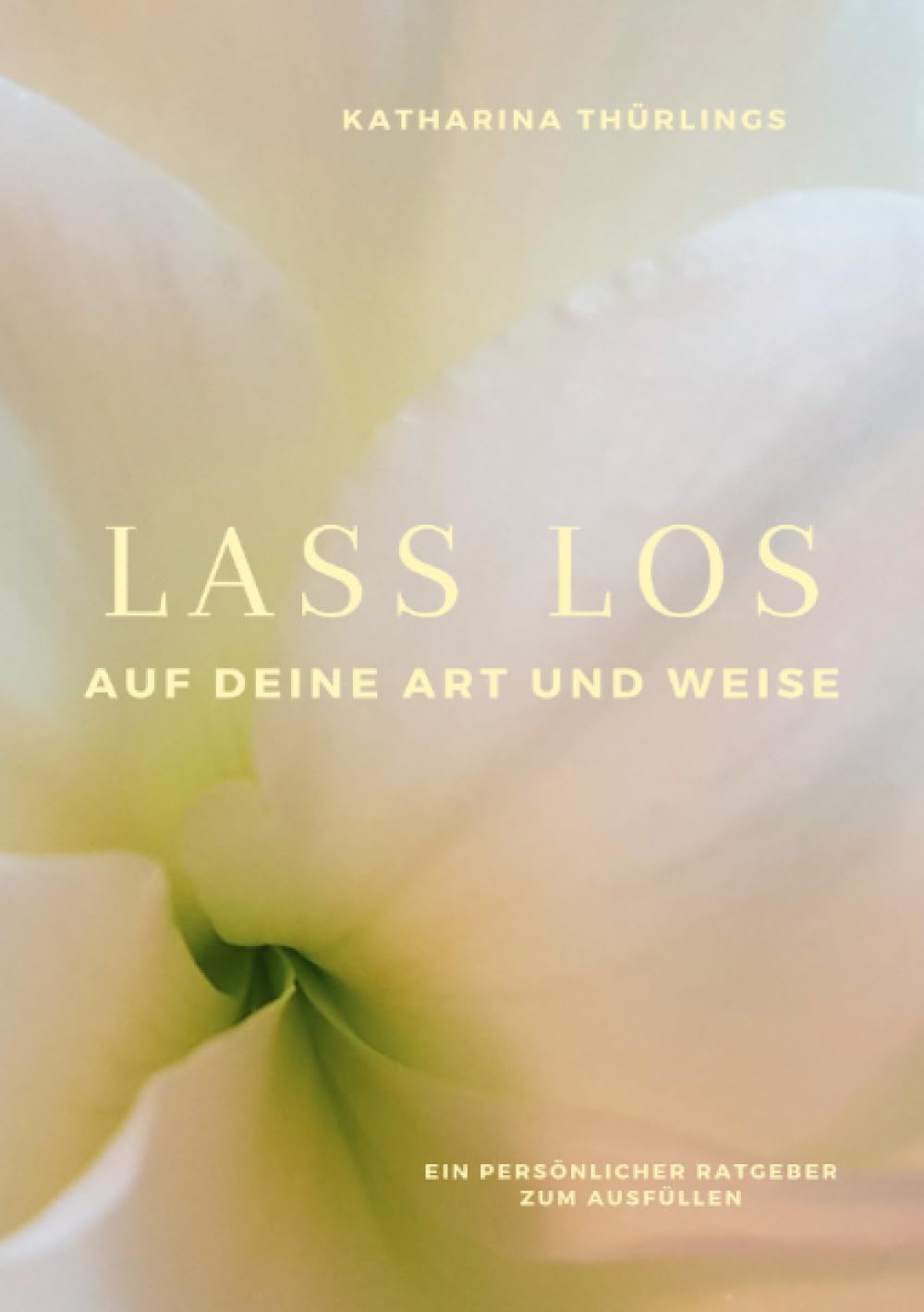Lass Los! - Auf deine Art und Weise: Ein persönlicher Ratgeber zum Ausfüllen Living & Furnishing