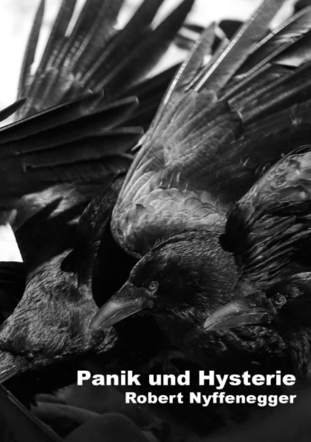 Panik und Hysterie: DE (Gedichte von Robert Nyffenegger) Philosophy
