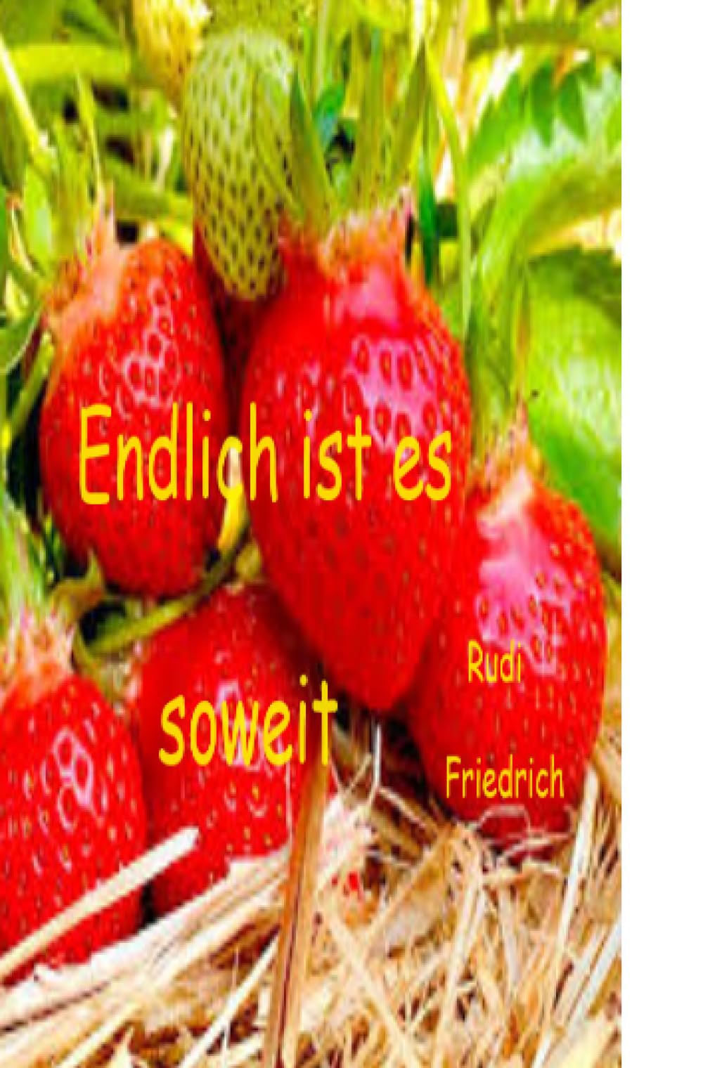 Es ist soweit: Endlich ist es soweit Historical Fiction