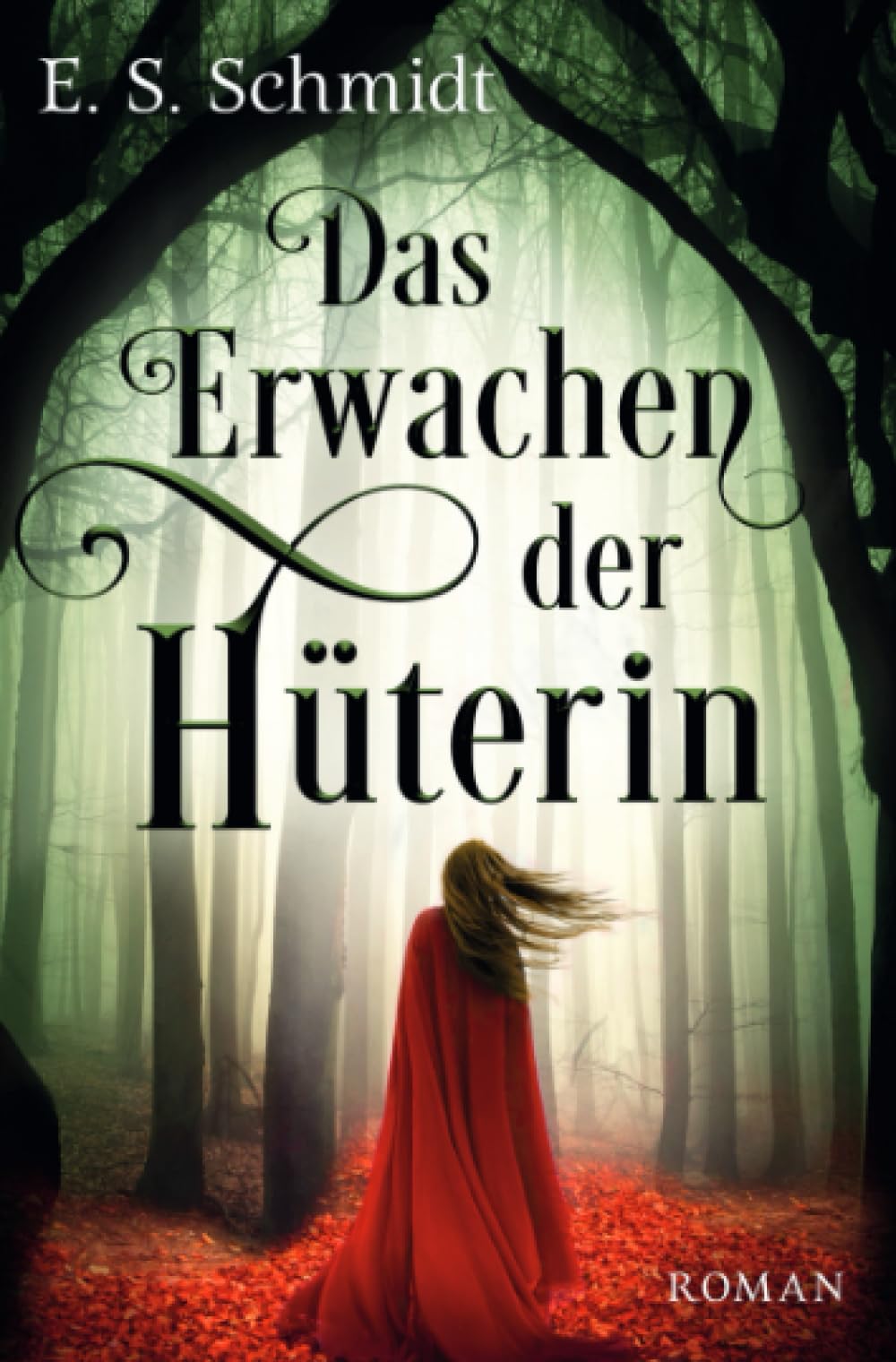 Das Erwachen der Hüterin Contemporary literature Books