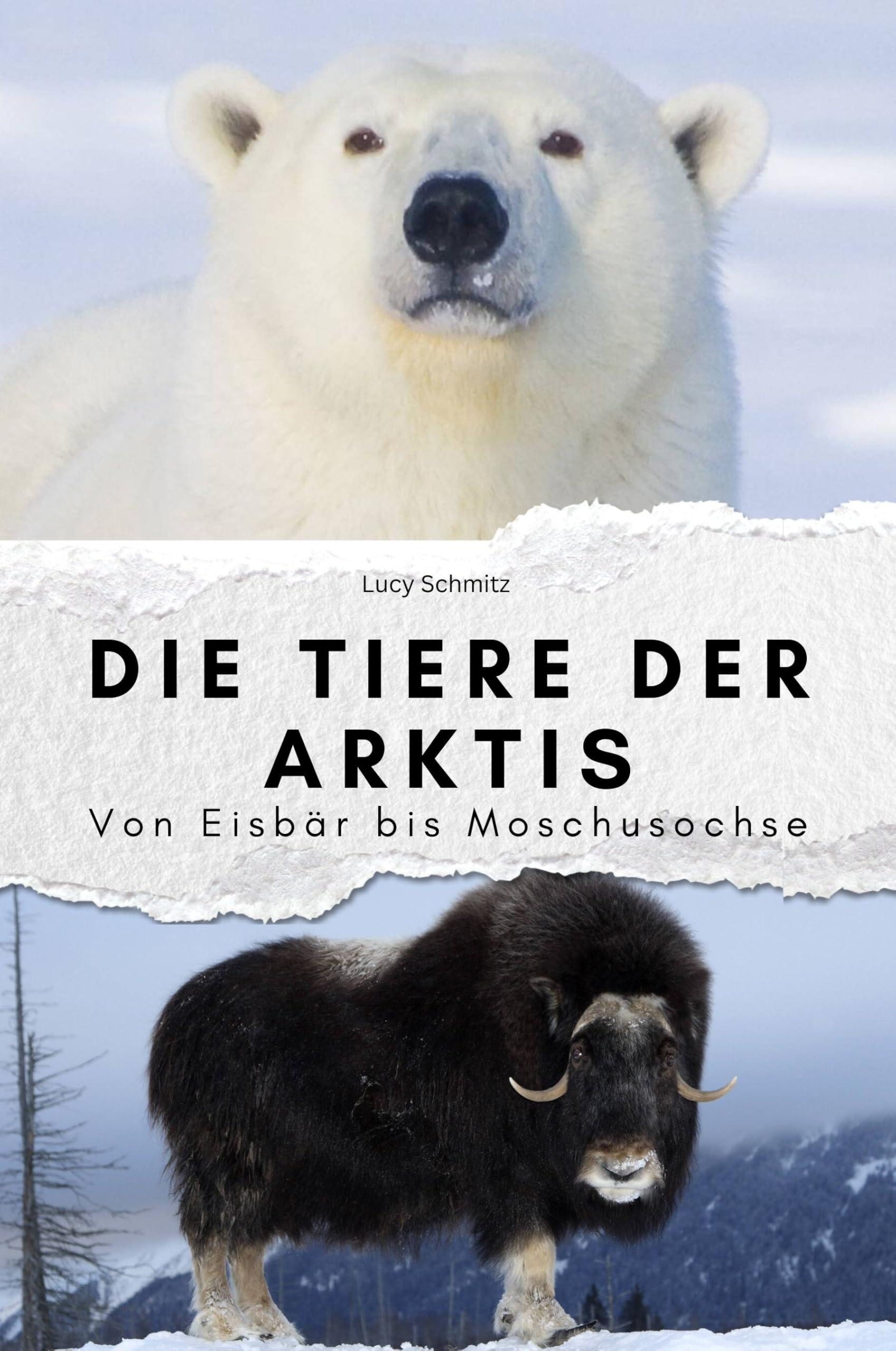 Die Tiere der Arktis - Das perfekte Geschenk für Männer und Frauen zu Weihnachten und Geburtstag: Von Eisbär bis Moschusochse Memories