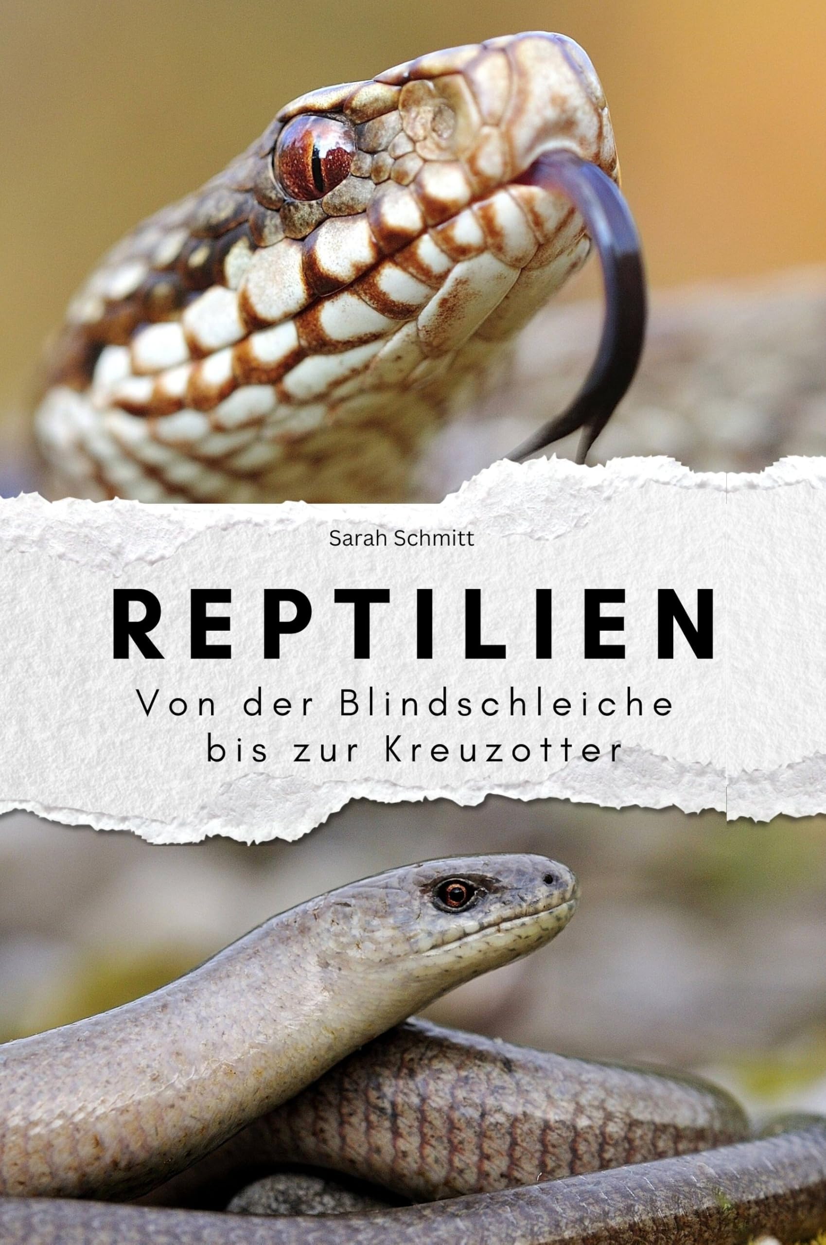 Reptilien - Das perfekte Geschenk für Männer und Frauen zu Weihnachten und Geburtstag: Von der Blindschleiche bis zur Kreuzotter Memories