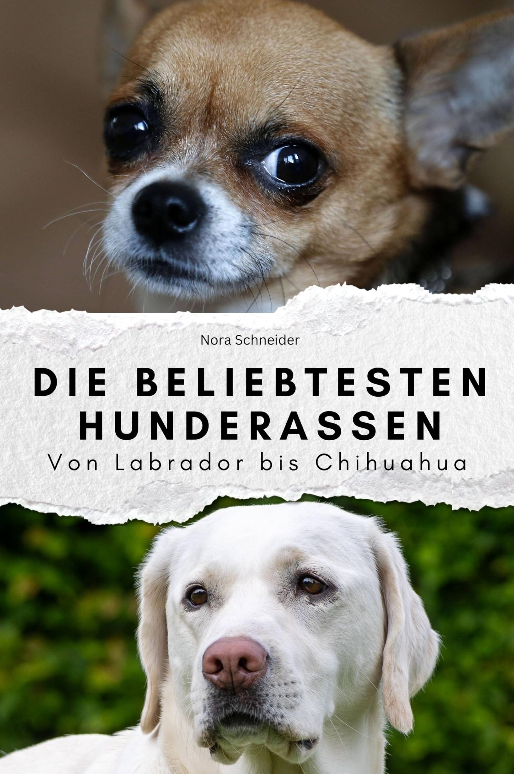 Die beliebtesten Hunderassen - Das perfekte Geschenk für Männer und Frauen zu Weihnachten und Geburtstag: Von Labrador bis Chihuahua Memories