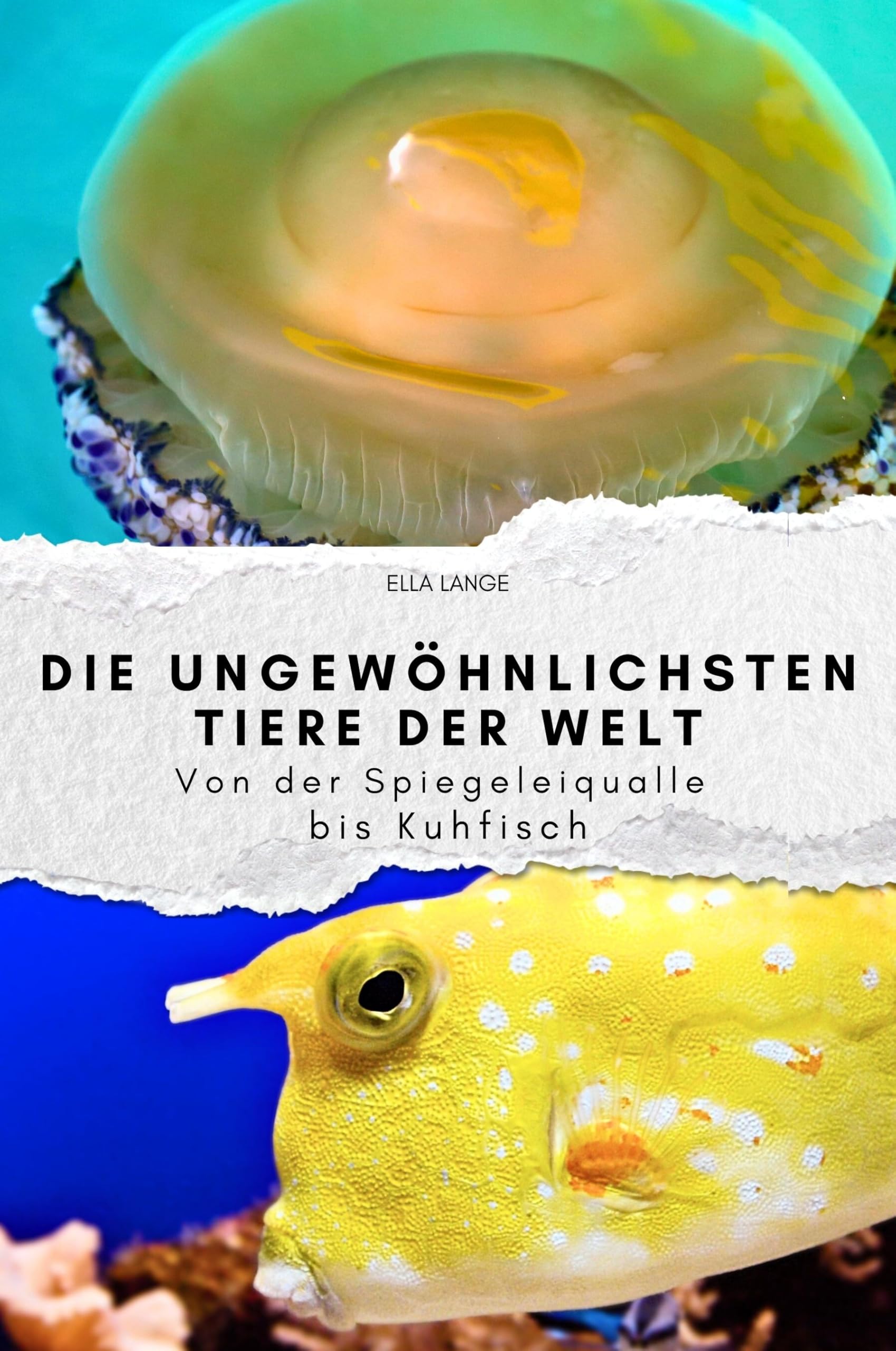 Die ungewöhnlichsten Tiere der Welt - Das perfekte Geschenk für Männer und Frauen zu Weihnachten und Geburtstag: Von der Spiegeleiqualle bis Kuhfisch Memories