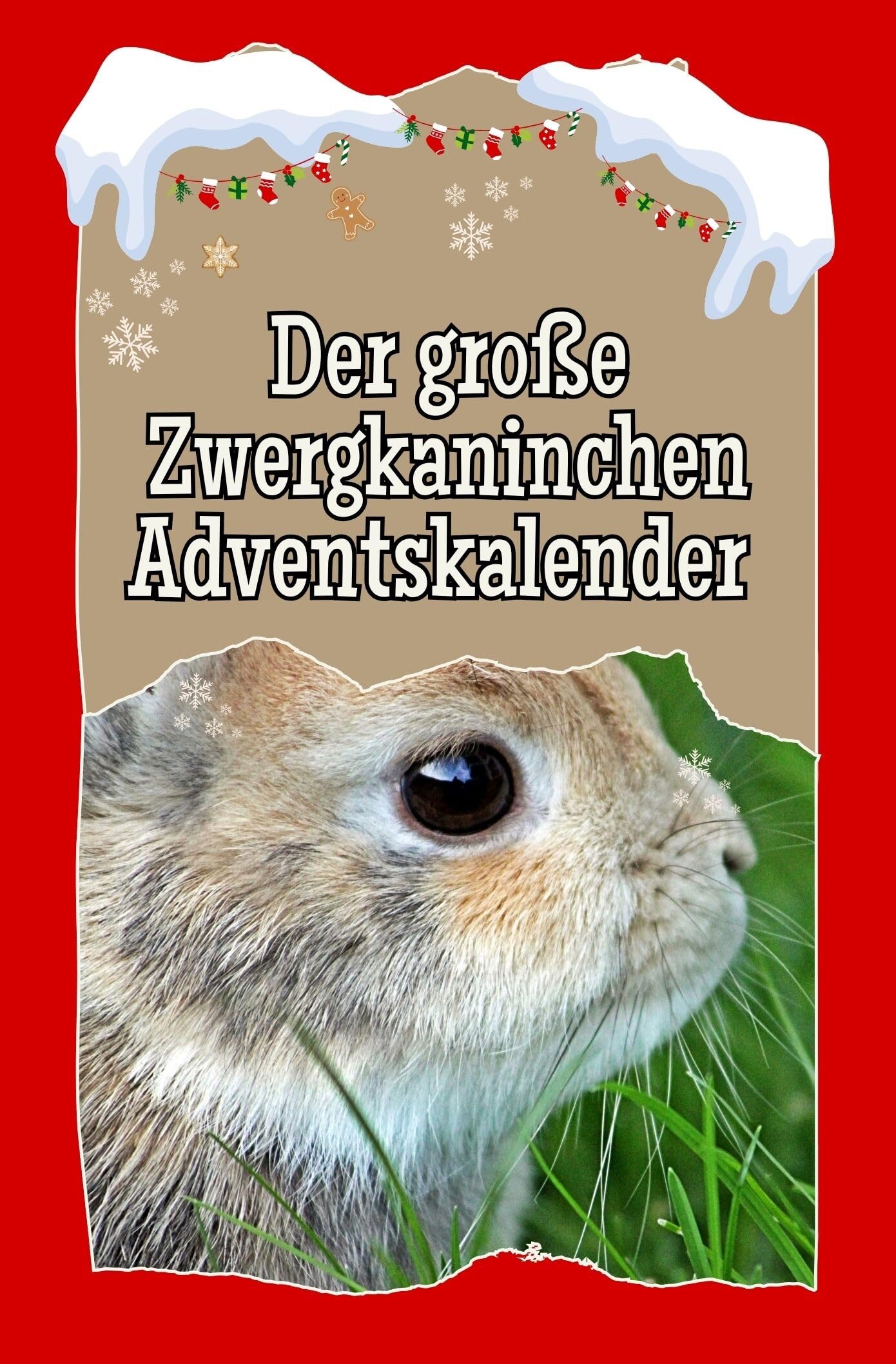 Der große Zwergkaninchen-Adventskalender Lifestyle
