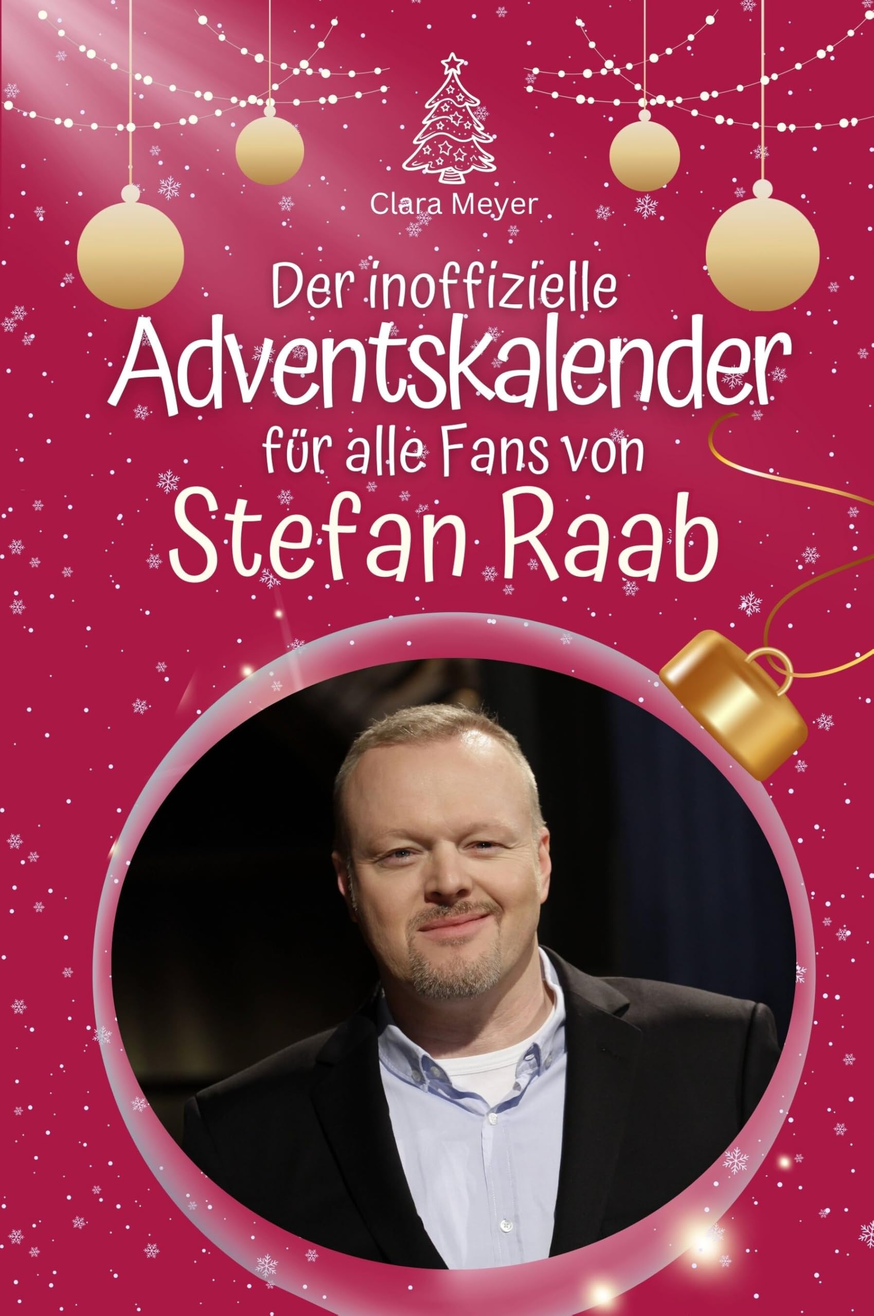 Der inoffizielle Adventskalender für alle Fans von Stefan Raab Art & Literature