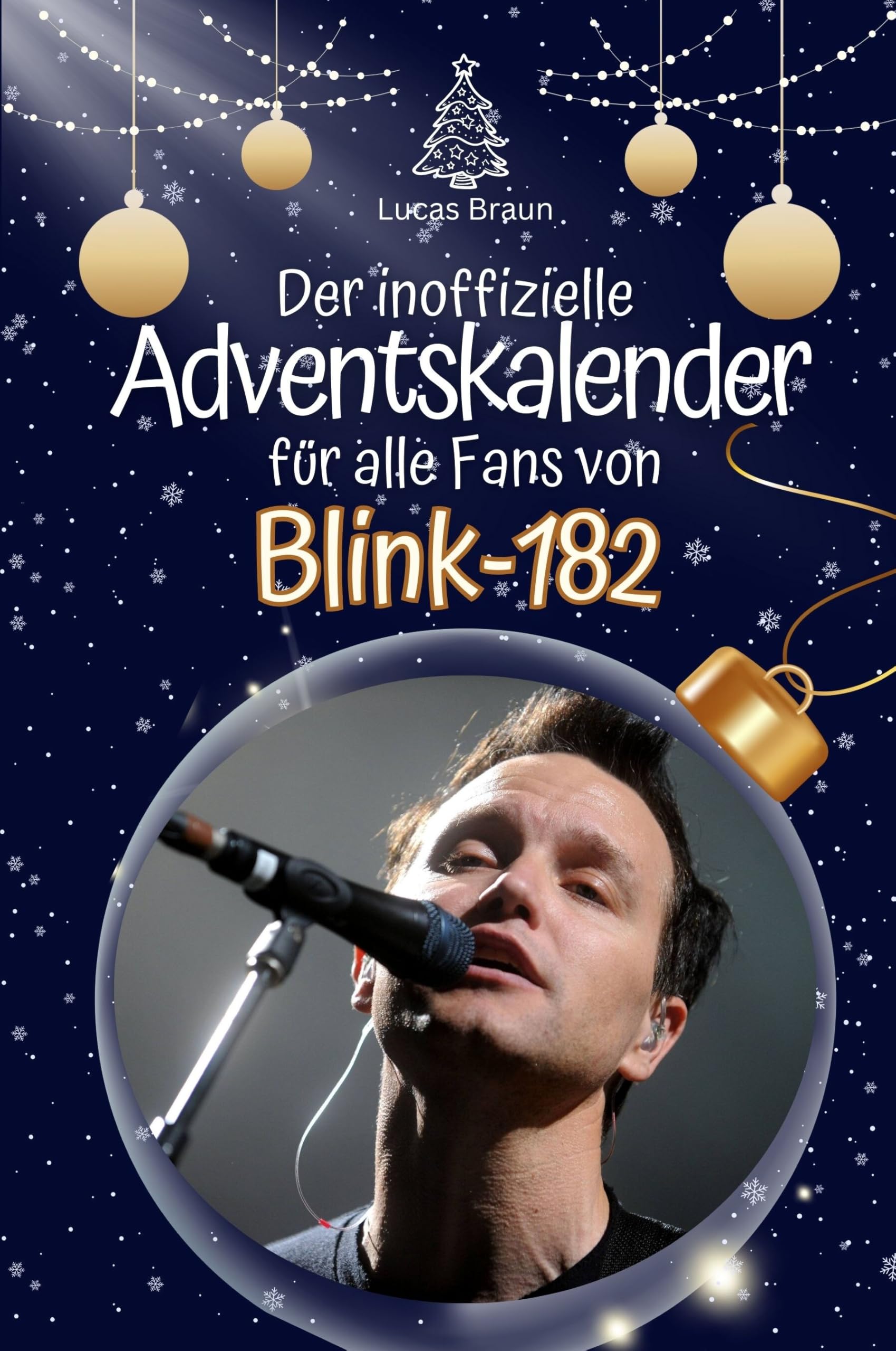 Der inoffizielle Adventskalender für alle Fans von Blink-182 Art & Literature
