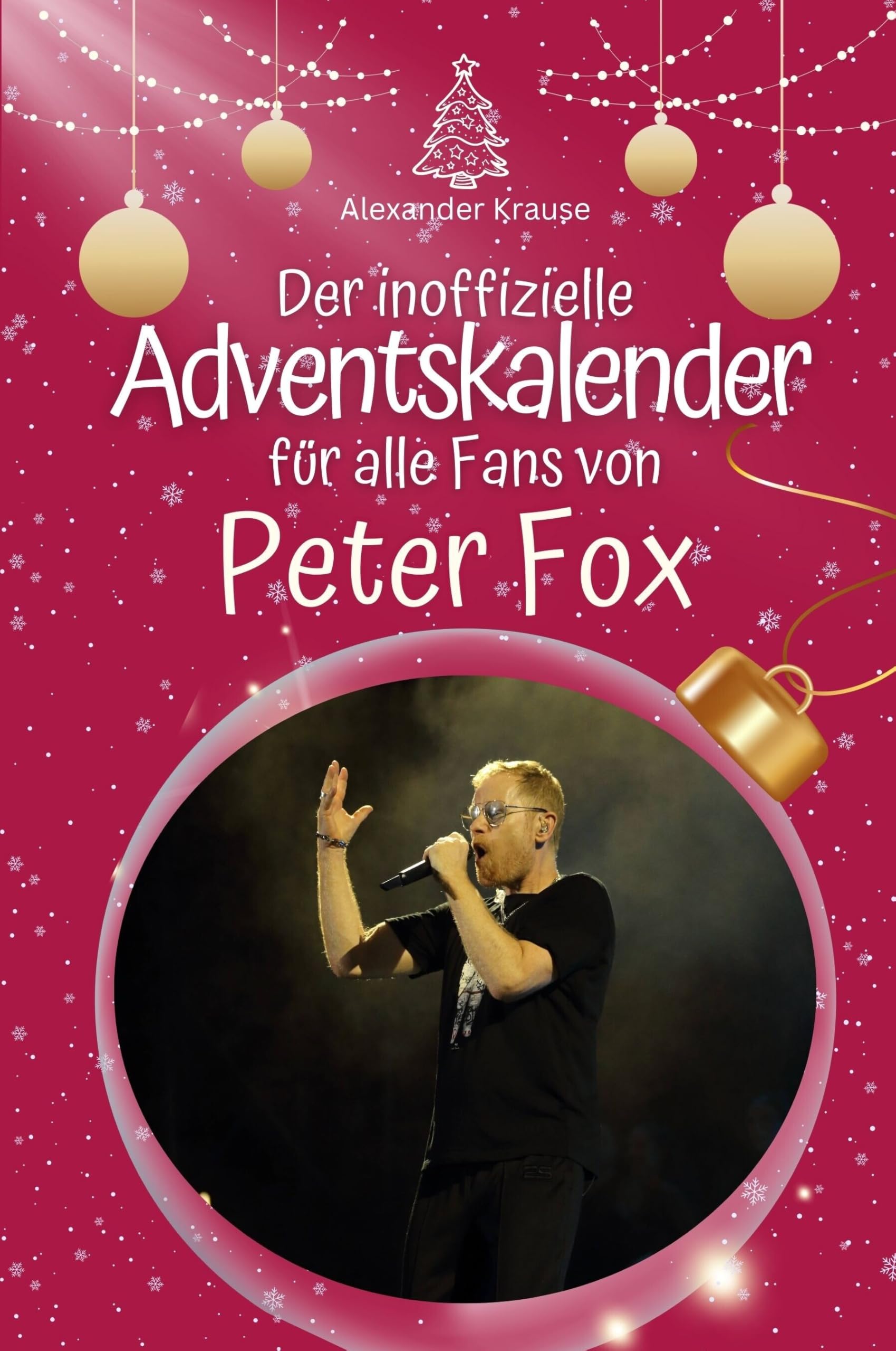 Der inoffizielle Adventskalender für alle Fans von Peter Fox - Hochwertige Hardcover-Ausgabe - das perfekte Geschenk 2024 Art & Literature Books