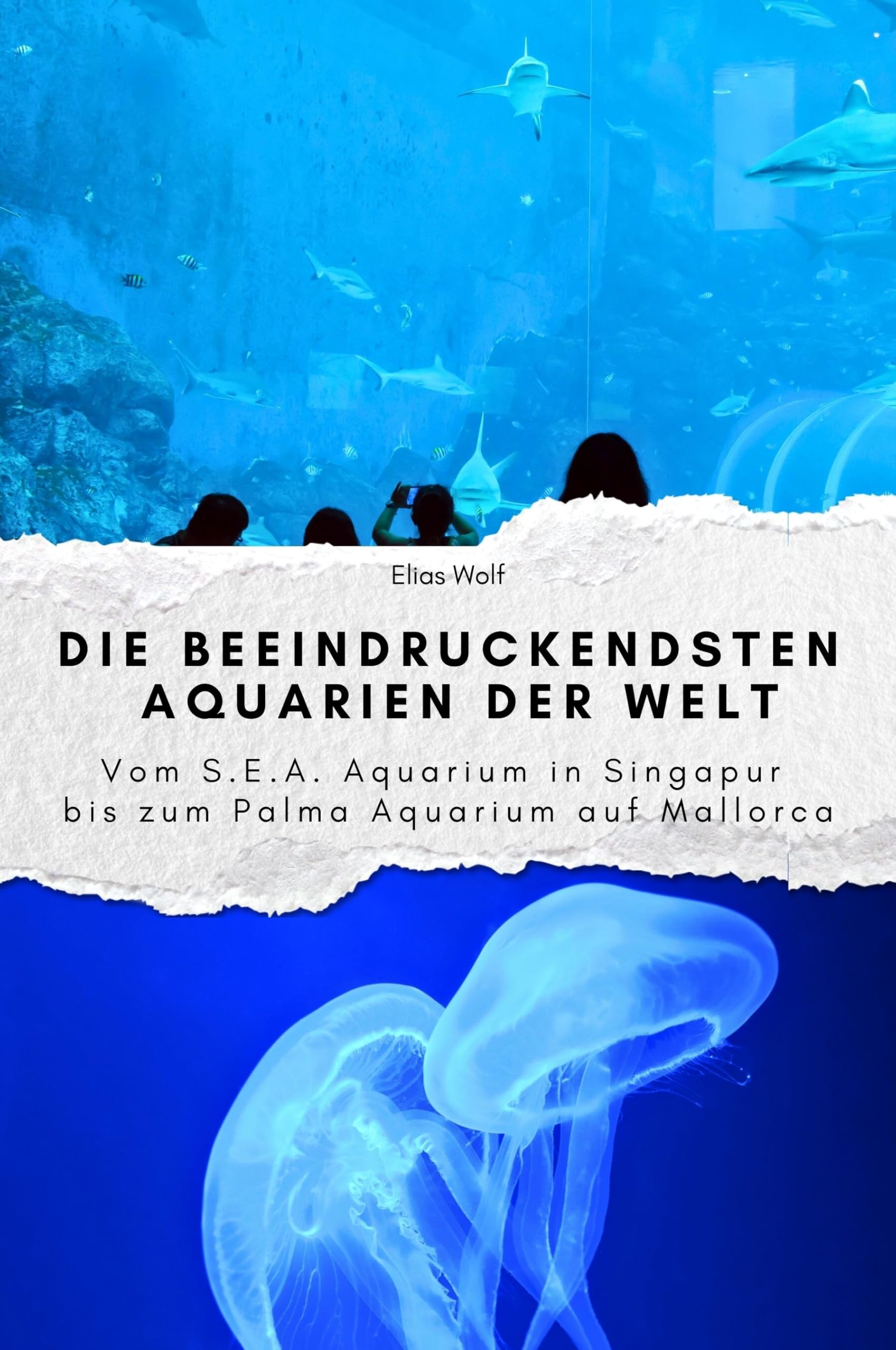 Die beeindruckendsten Aquarien der Welt - Das perfekte Geschenk für Männer und Frauen zu Weihnachten und Geburtstag: Vom S.E.A. Aquarium in Singapur bis zum Palma Aquarium auf Mallorca Memories