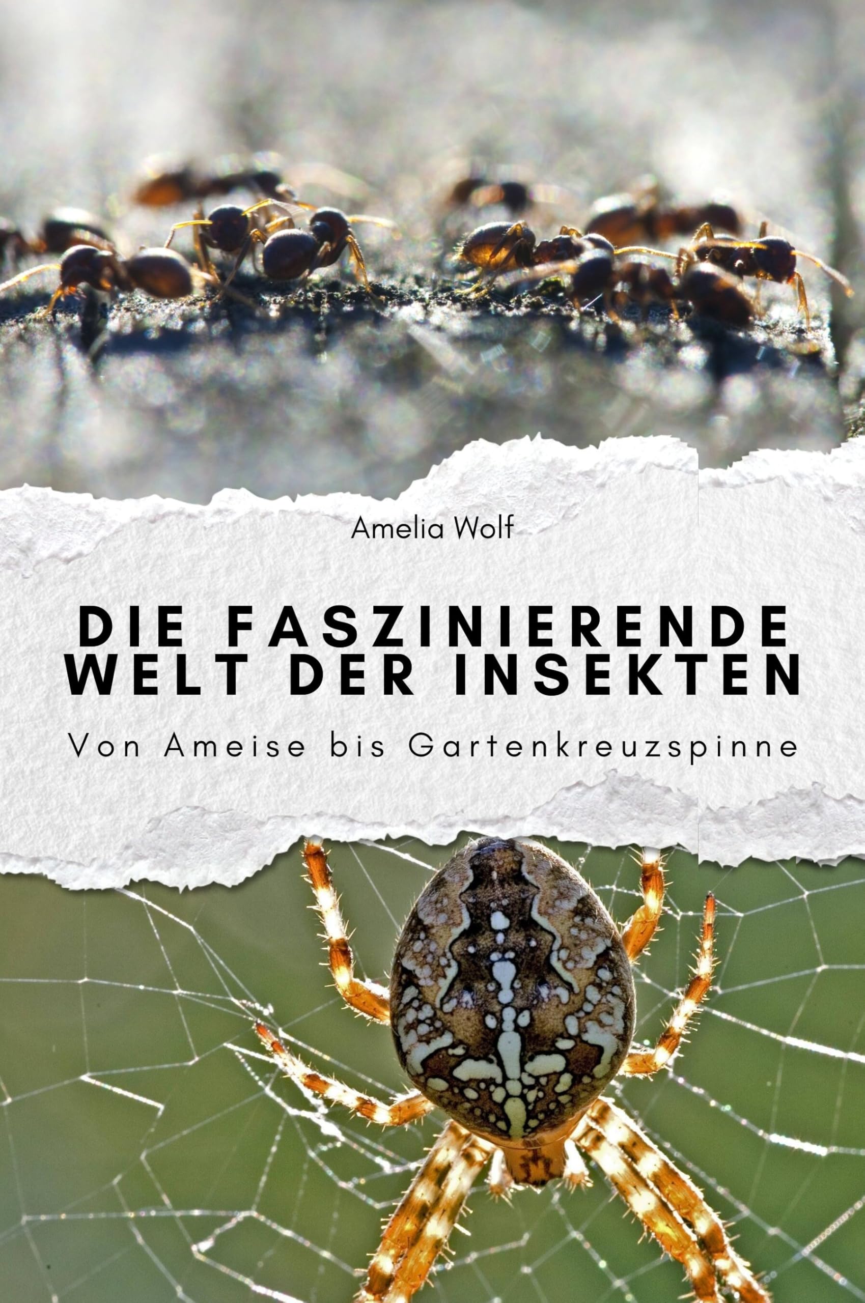 Die faszinierende Welt der Insekten - Das perfekte Geschenk für Männer und Frauen zu Weihnachten und Geburtstag: Von Ameise bis Gartenkreuzspinne Living & Furnishing