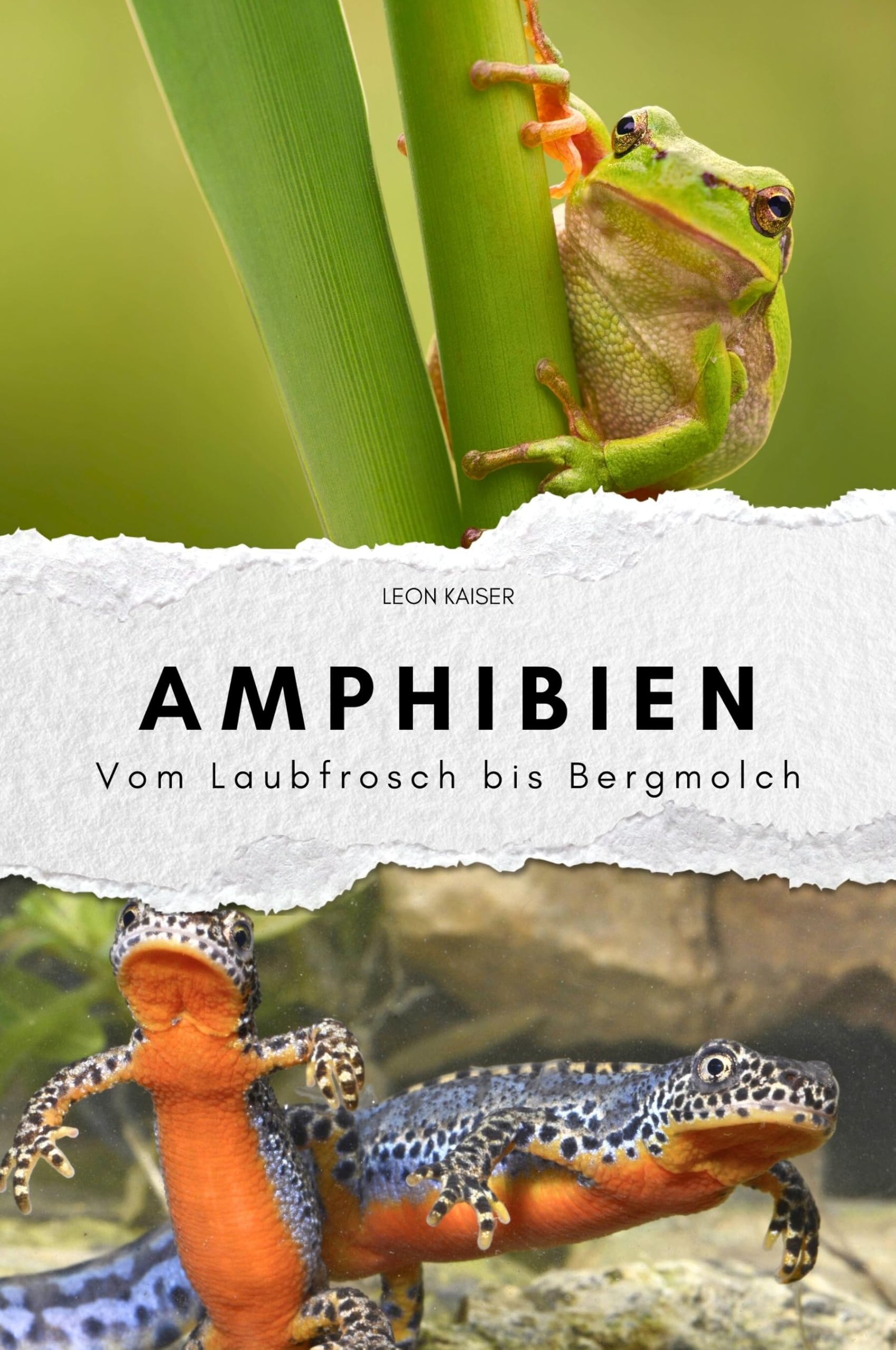Amphibien - Das perfekte Geschenk für Männer und Frauen zu Weihnachten und Geburtstag: Vom Laubfrosch bis Bergmolch Memories