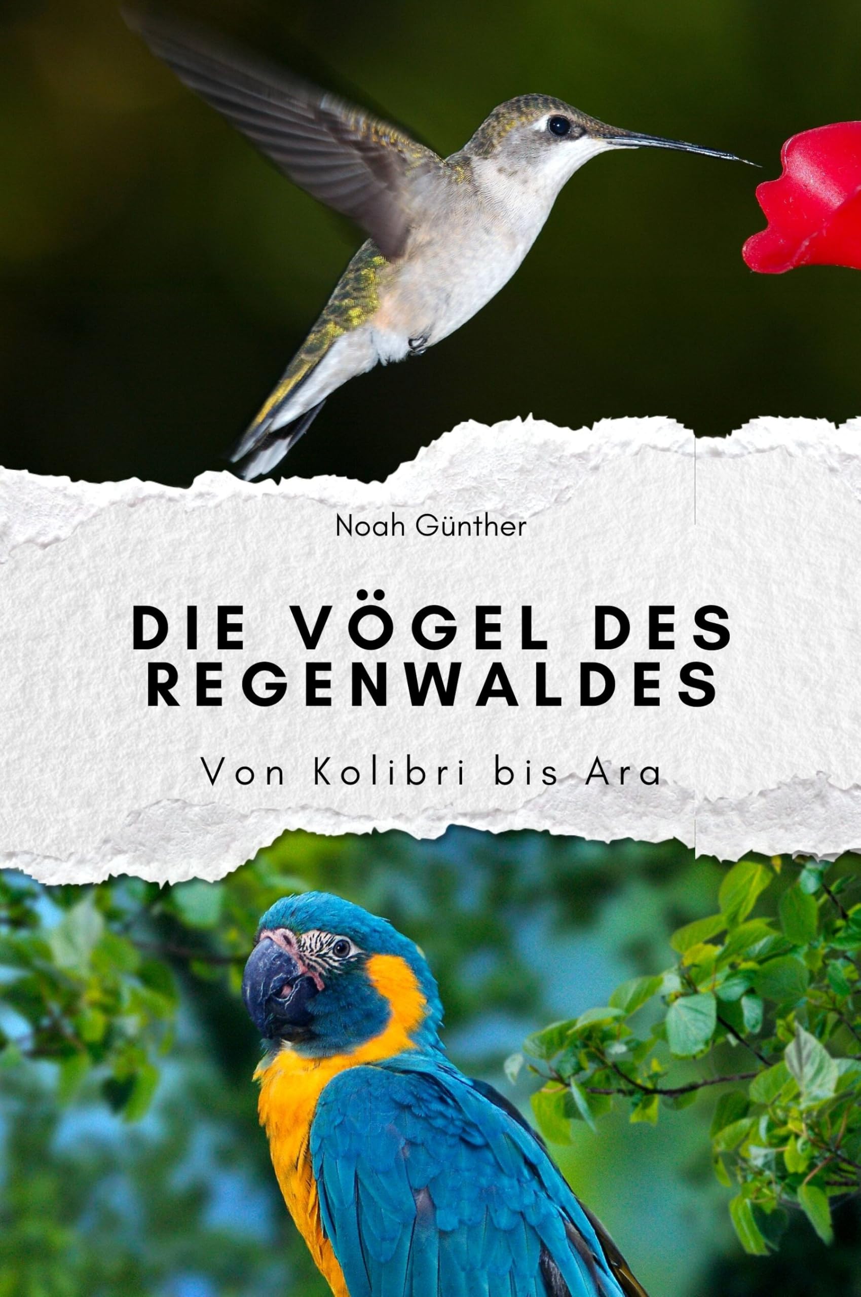 Die Vögel des Regenwaldes - Das perfekte Geschenk für Männer und Frauen zu Weihnachten und Geburtstag: Von Kolibri bis Ara Living & Furnishing