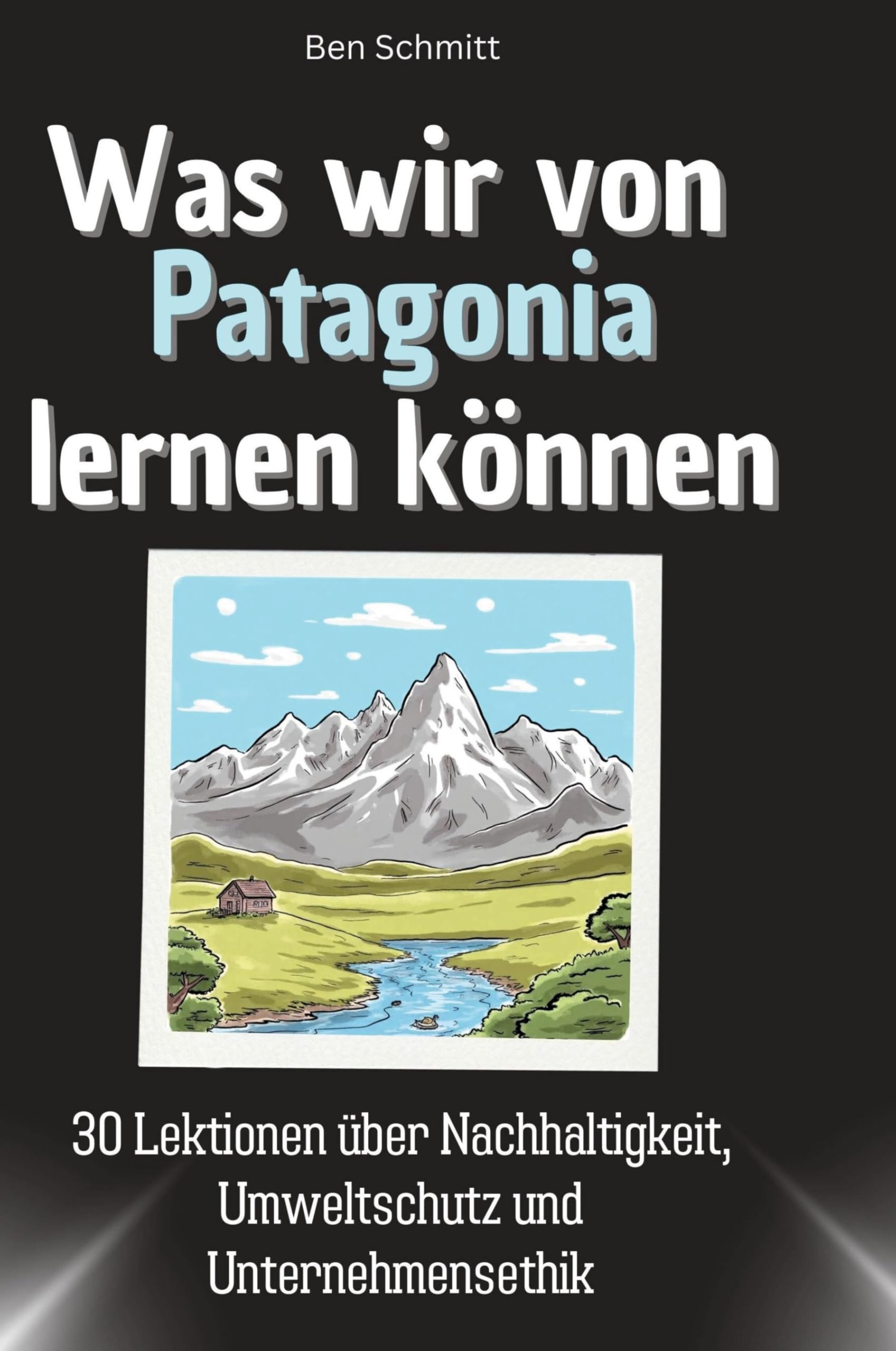 Was wir von Patagonia lernen können: 30 Lektionen über Nachhaltigkeit, Umweltschutz und Unternehmensethik Memories