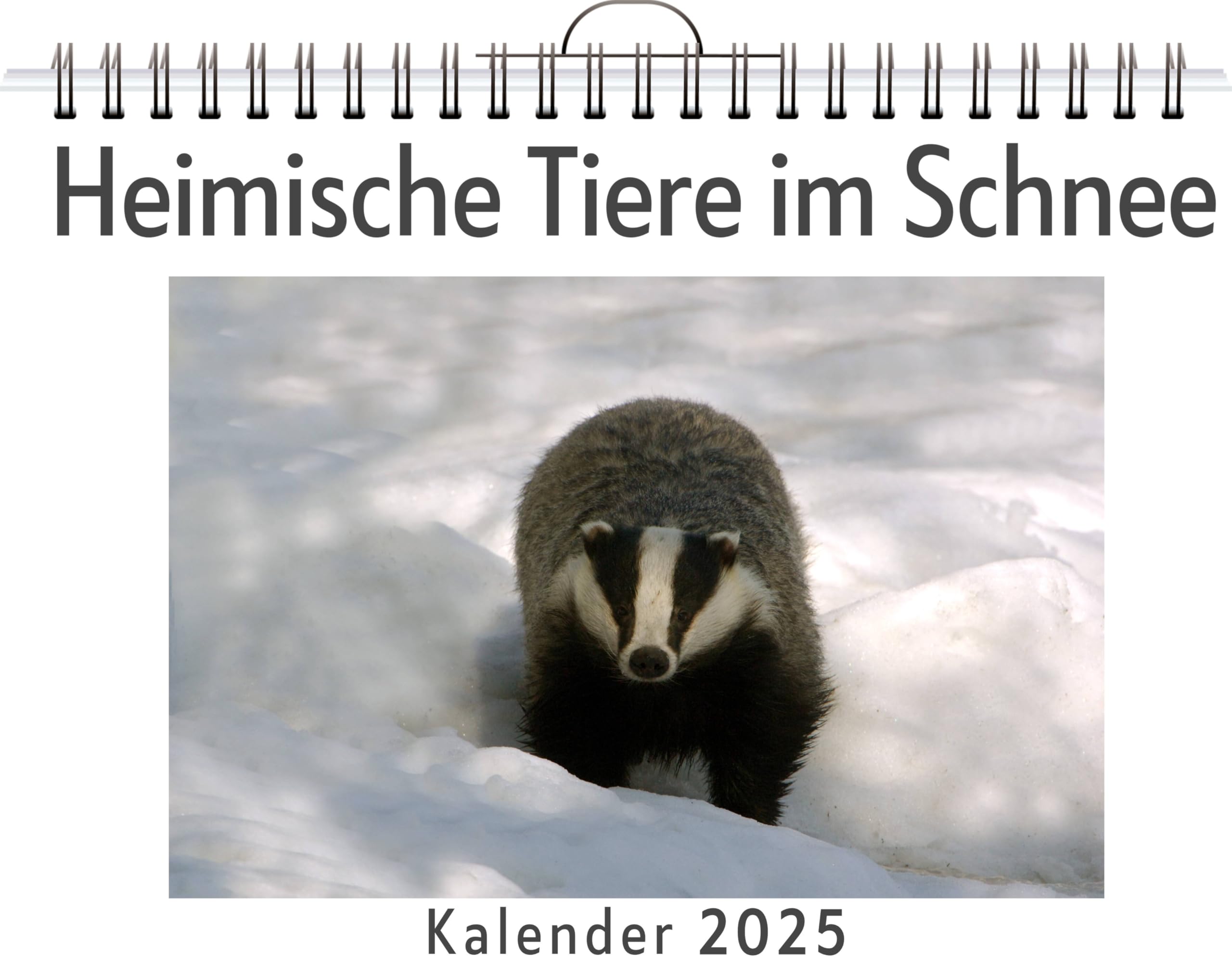 Heimische Tiere im Schnee - (Wandkalender 2025, Kalender DIN A4 quer, Monatskalender im Querformat mit Kalendarium, das perfekte Geschenk) Leisure, Home & Garden