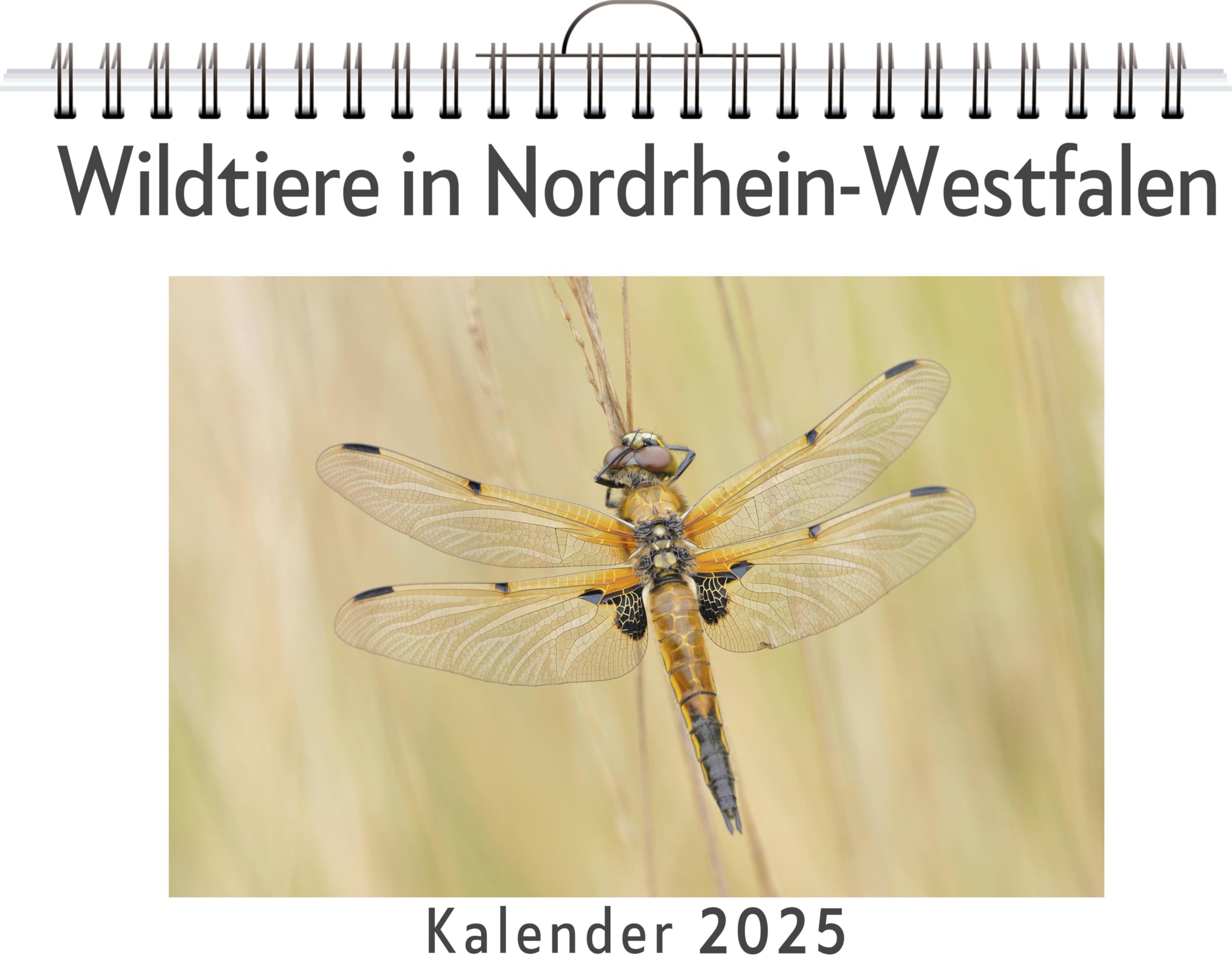 Wildtiere in Nordrhein-Westfalen - (Wandkalender 2025, Kalender DIN A4 quer, Monatskalender im Querformat mit Kalendarium, das perfekte Geschenk) Leisure, Home & Garden