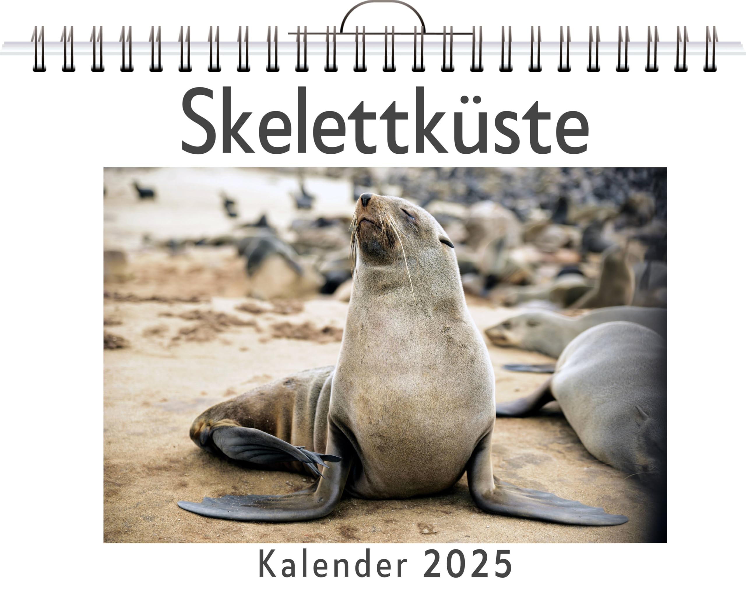 Skelettküste - (Wandkalender 2025, Kalender DIN A4 quer, Monatskalender im Querformat mit Kalendarium, das perfekte Geschenk) Leisure, Home & Garden
