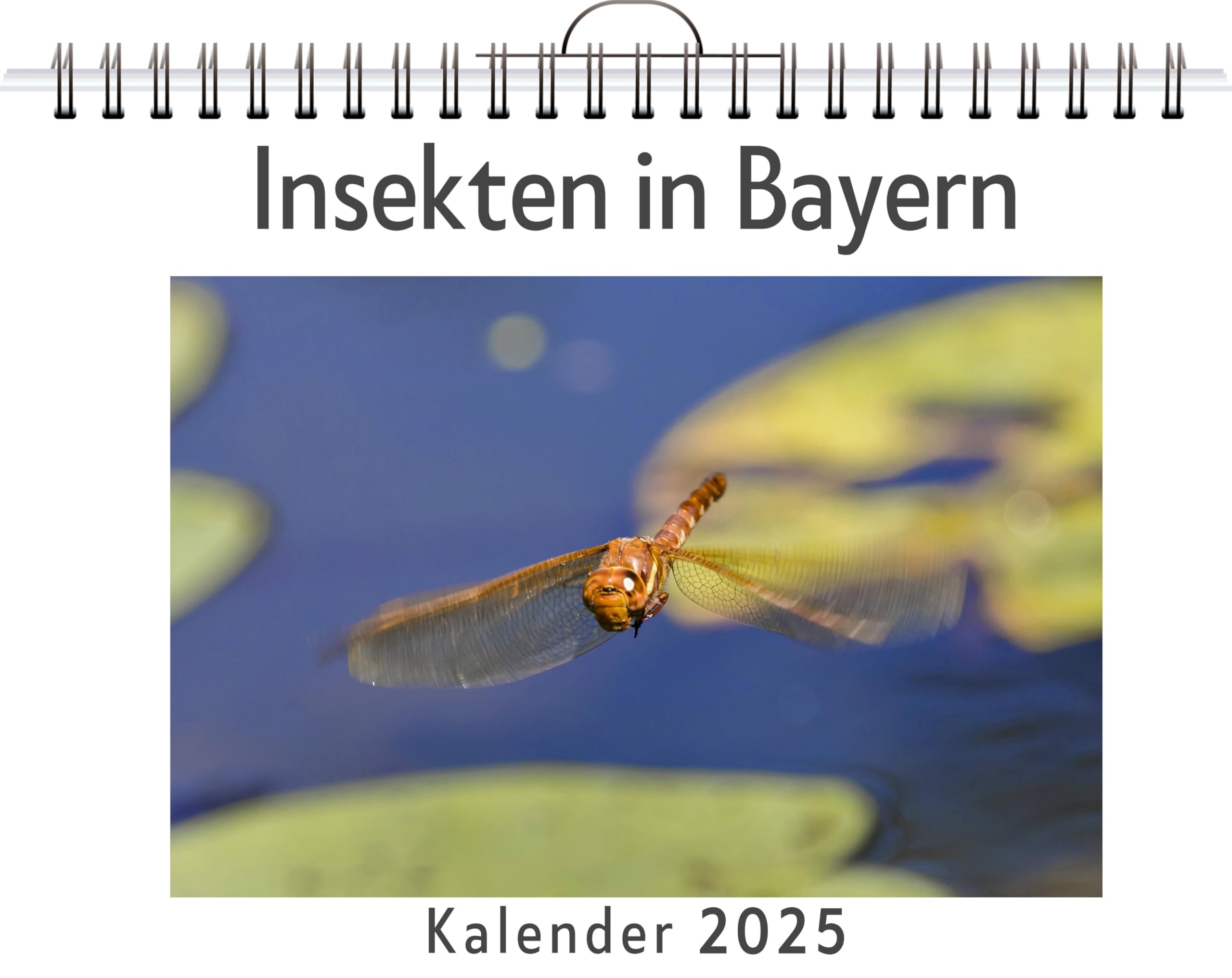 Insekten in Bayern - (Wandkalender 2025, Kalender DIN A4 quer, Monatskalender im Querformat mit Kalendarium, das perfekte Geschenk) Leisure, Home & Garden
