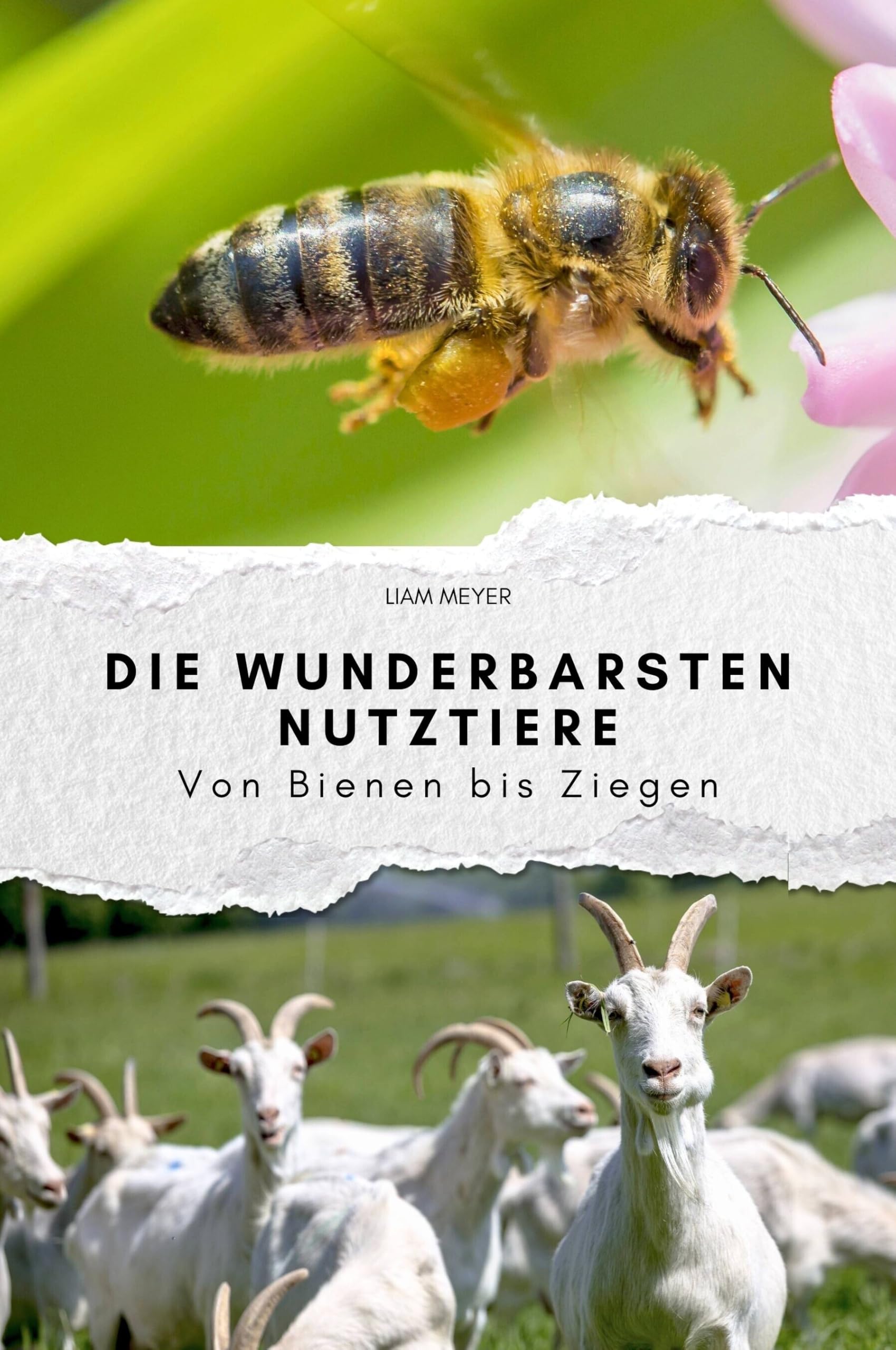 Die wunderbarsten Nutztiere - Das perfekte Geschenk für Männer und Frauen zu Weihnachten und Geburtstag. Hochwertige Hardcover-Ausgabe: Von Bienen bis Ziegen Art & Literature Books