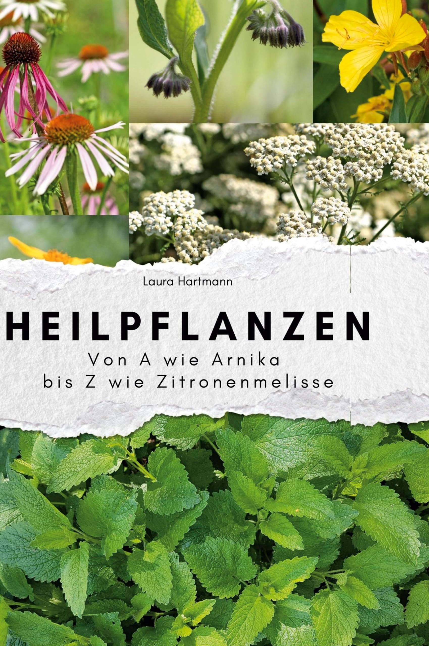 Heilpflanzen: Von A wie Arnika bis Z wie Zitronenmelisse Memories