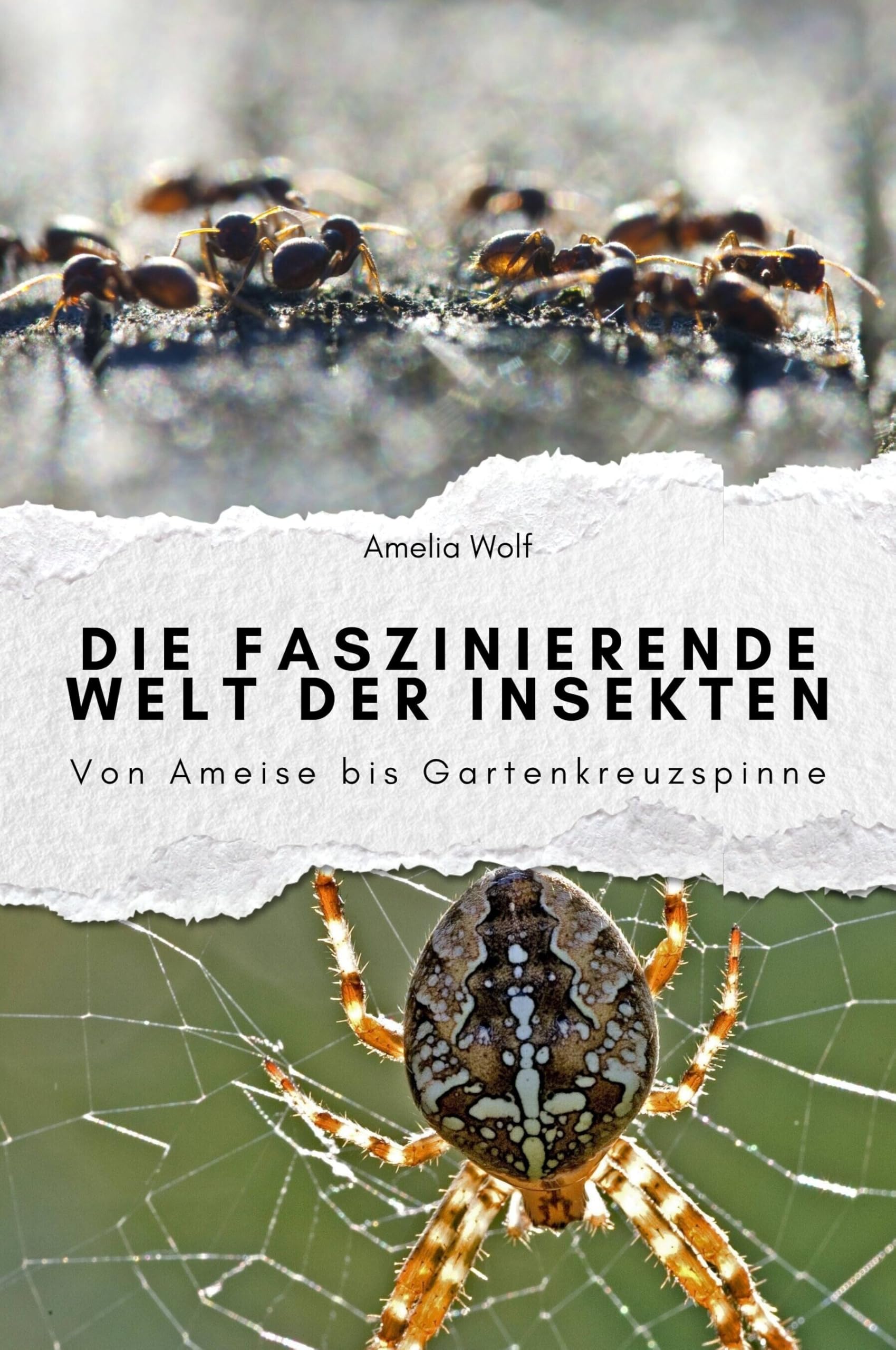 Die faszinierende Welt der Insekten - Das perfekte Geschenk für Männer und Frauen zu Weihnachten und Geburtstag. Hochwertige Hardcover-Ausgabe: Von Ameise bis Gartenkreuzspinne Living & Furnishing