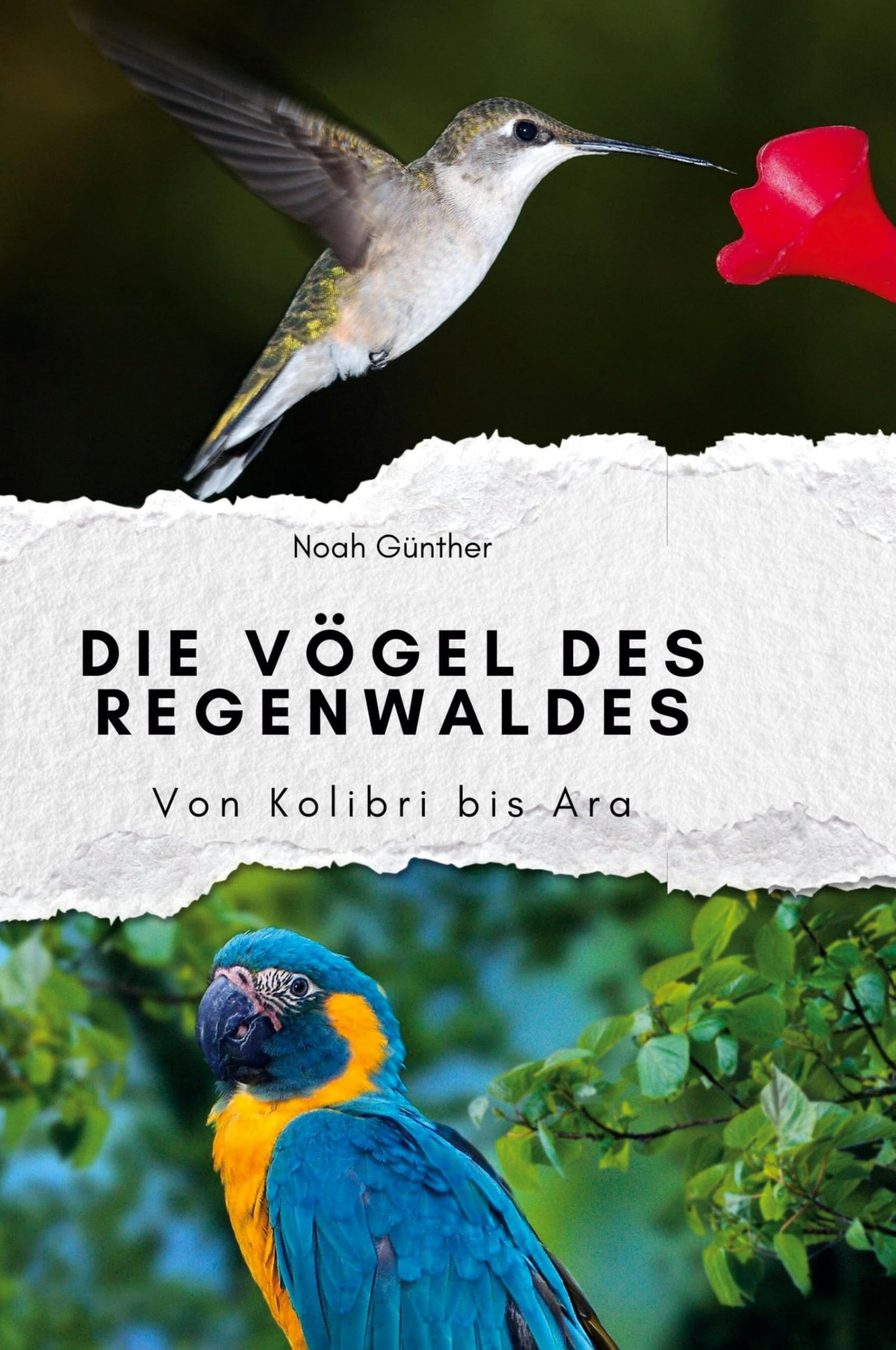 Die Vögel des Regenwaldes: Von Kolibri bis Ara Pets