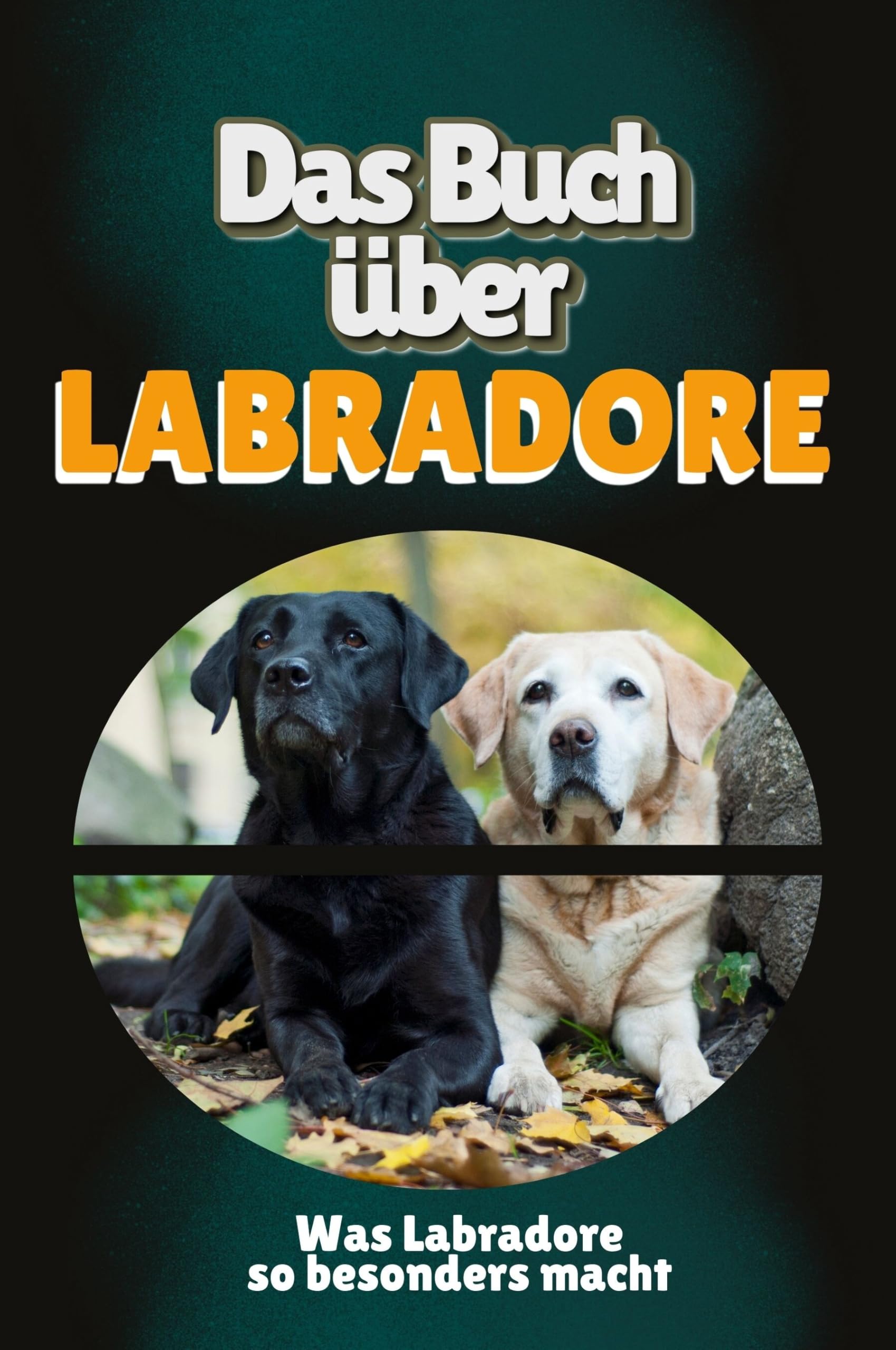 Das Buch über Labradore: Was Labradore so besonders macht Memories