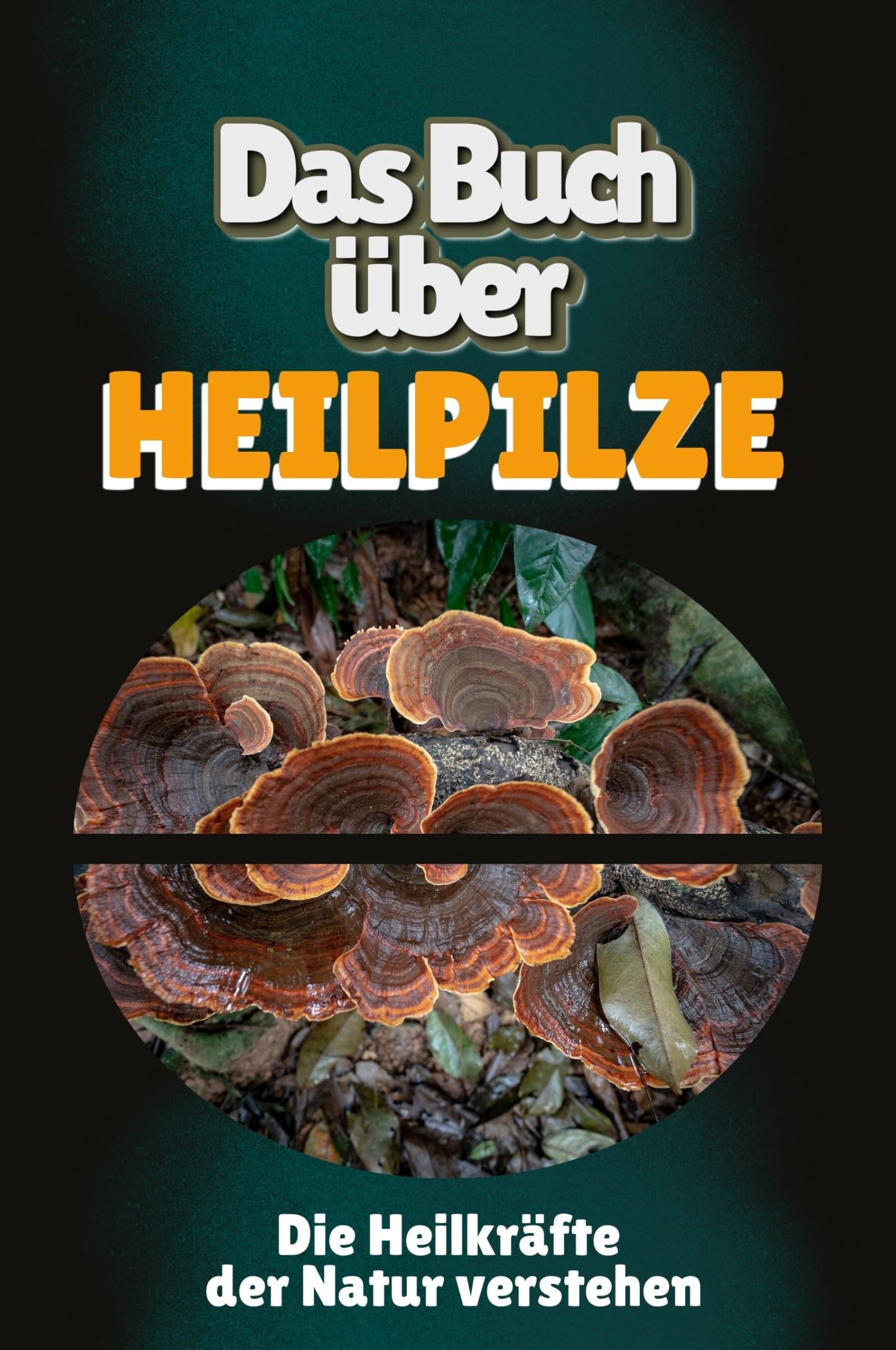 Das Buch über Heilpilze: Die Heilkräfte der Natur verstehen Memories